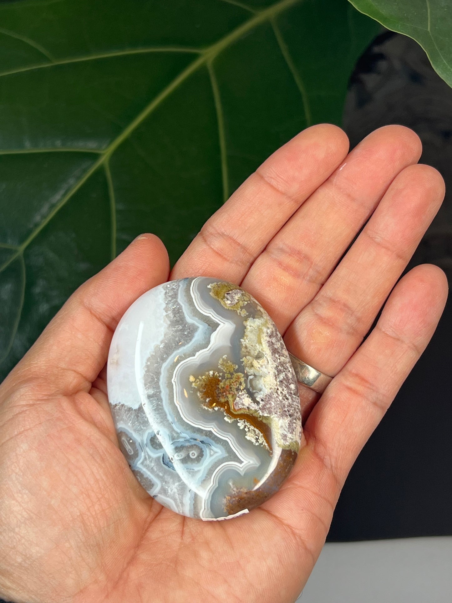 Scenic Moss Agate Palmstone