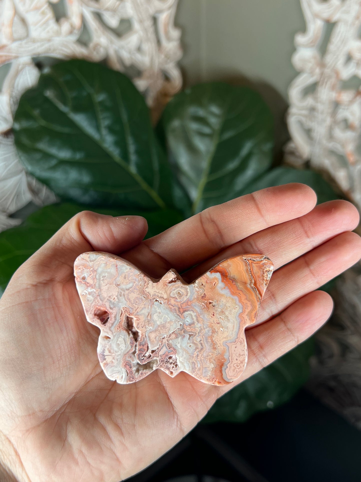 Crazy Lace Agate Butterfly