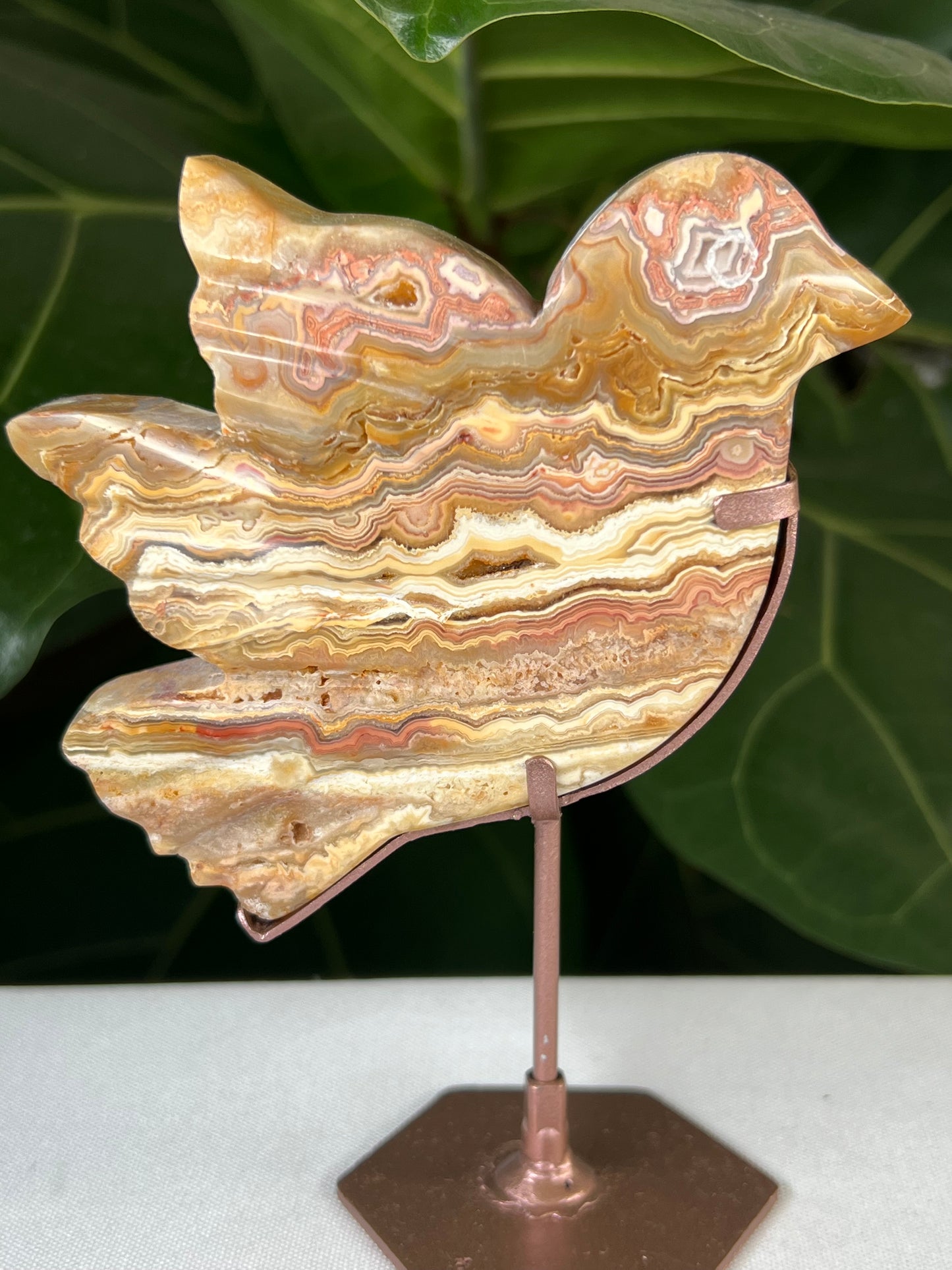 Crazy Lace Agate Bird