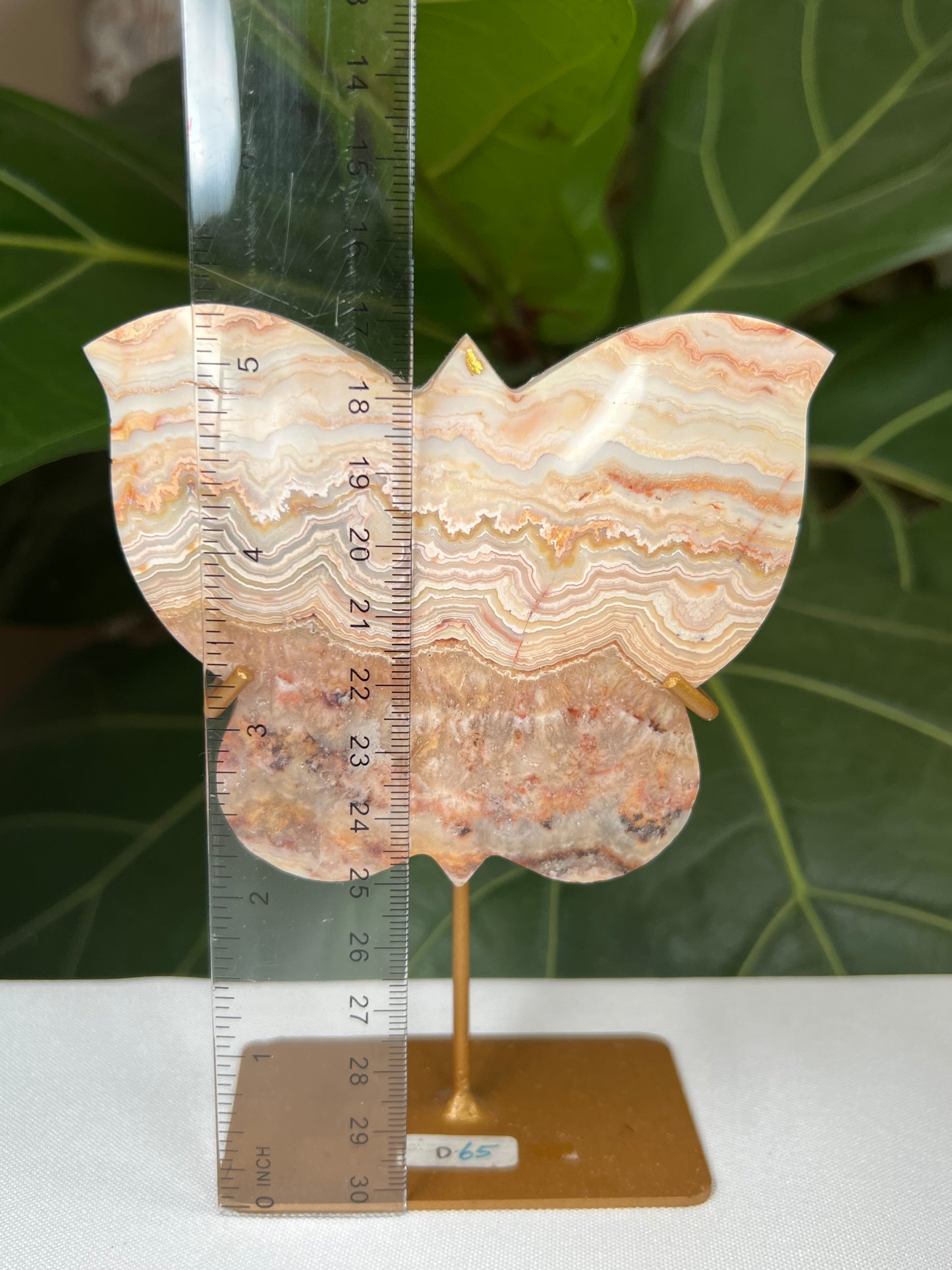 Crazy Lace Agate Butterfly