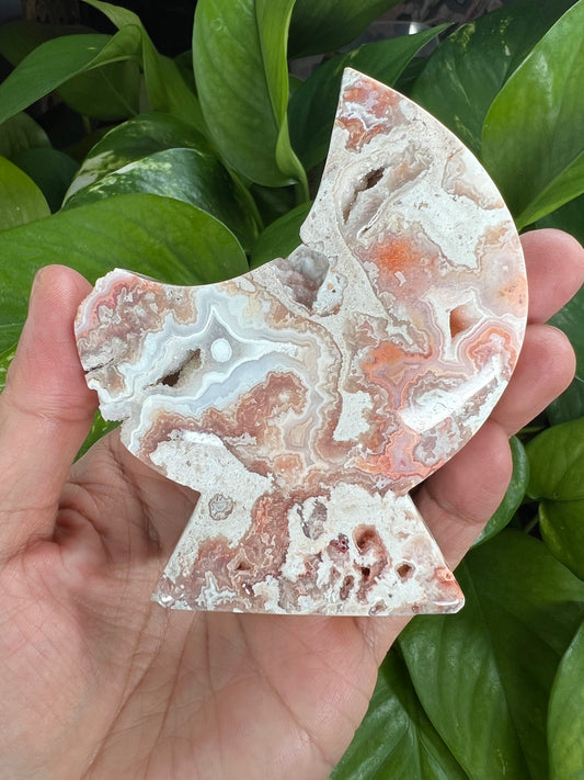 Crazy Lace Agate Moon