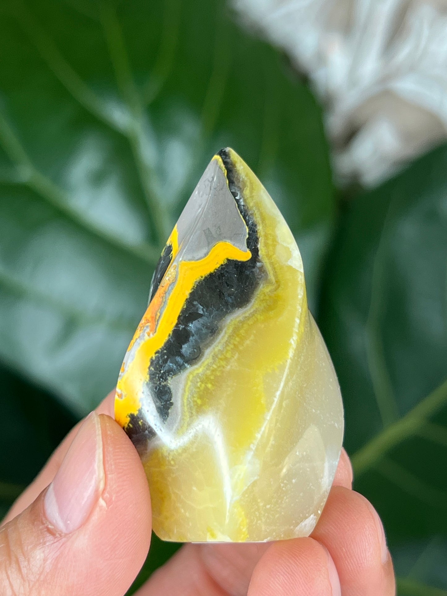 Bumblebee Jasper Flame