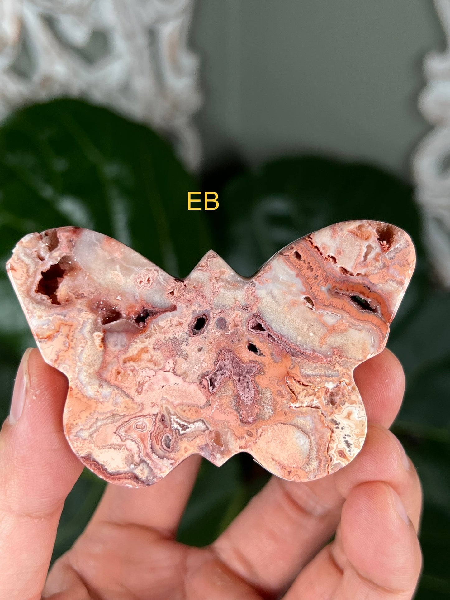 Crazy Lace Agate Butterflies