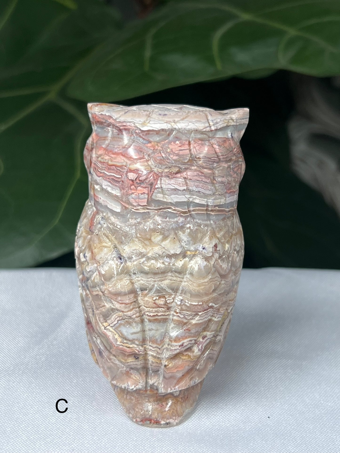 Crazy Lace Agate Owl