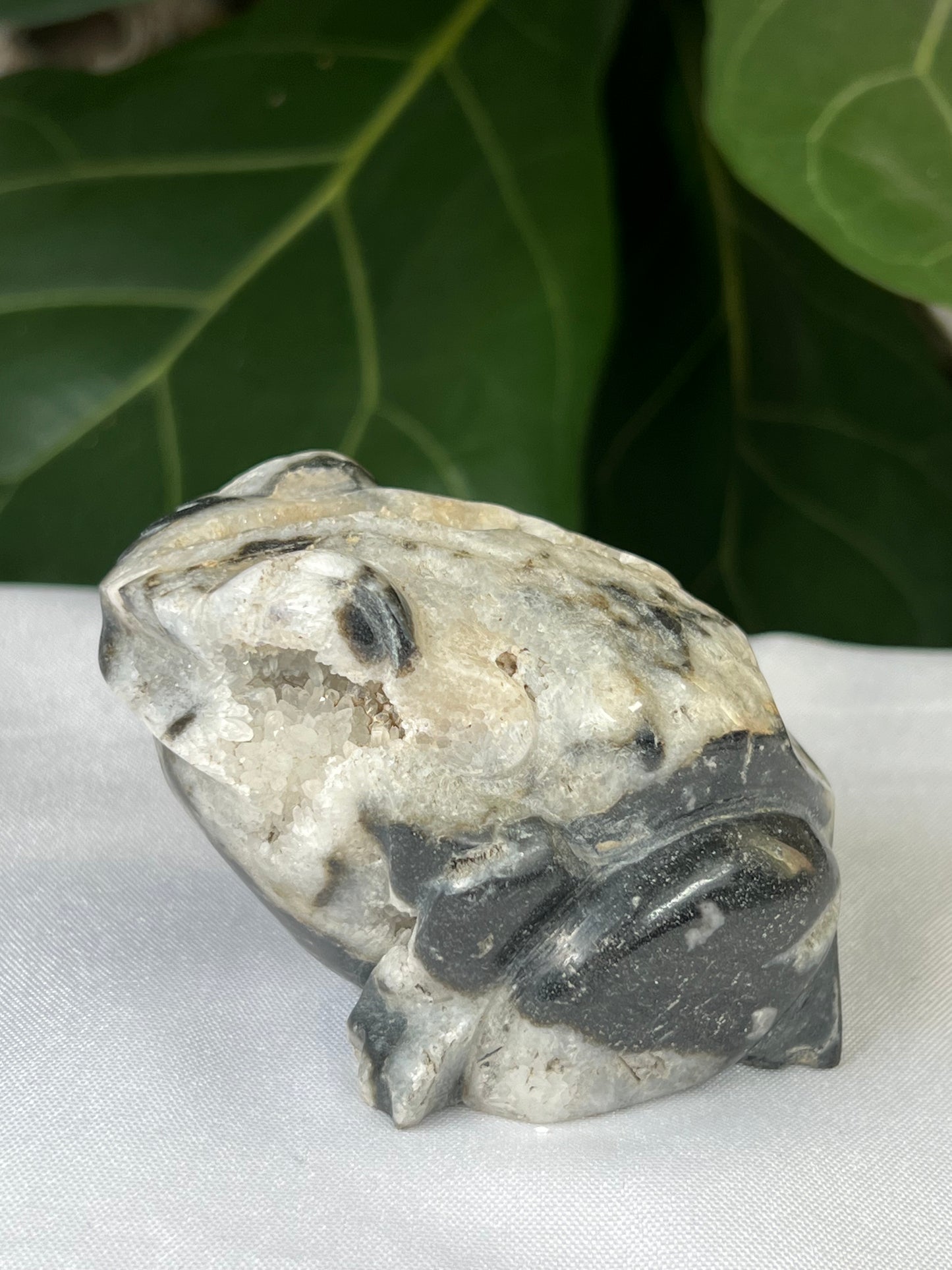 Sphalerite Frog