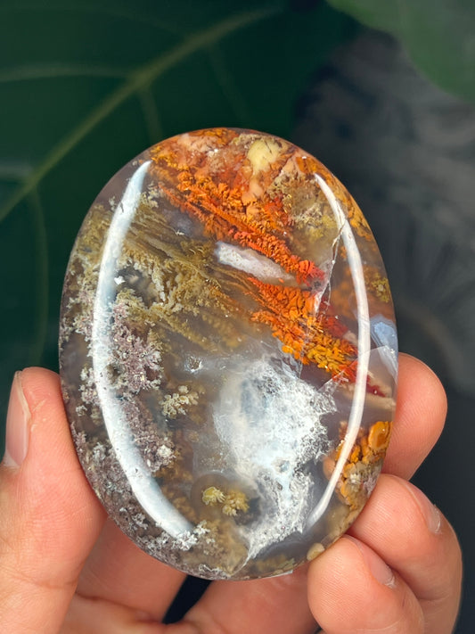 Scenic Moss Agate Palmstone