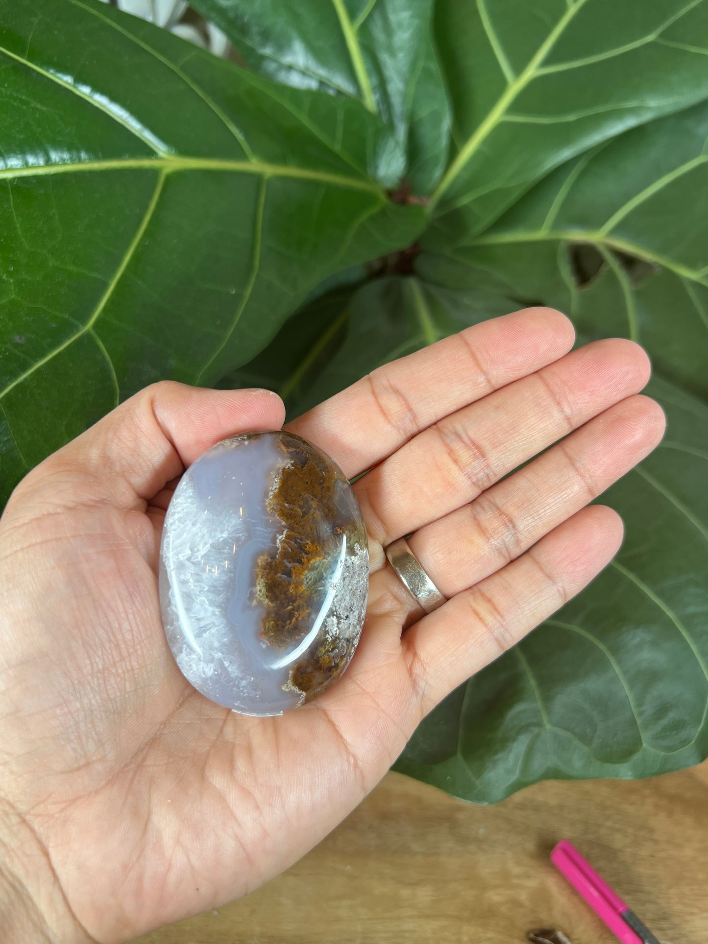 Scenic Moss Agate Palm Stone