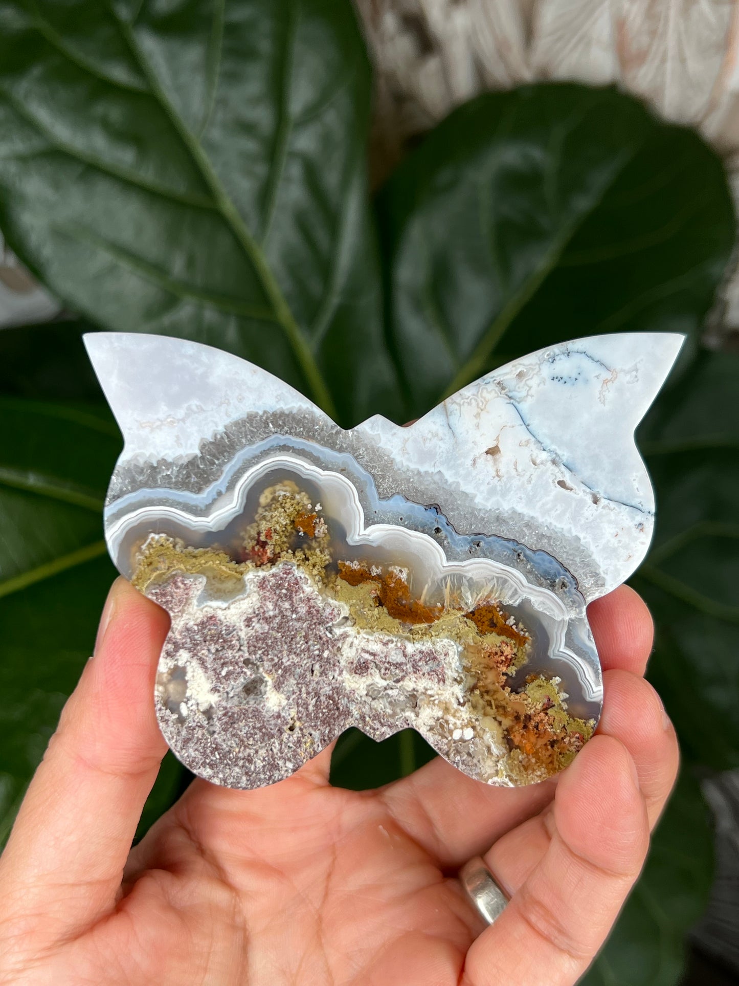 Scenic Moss Agate Butterfly