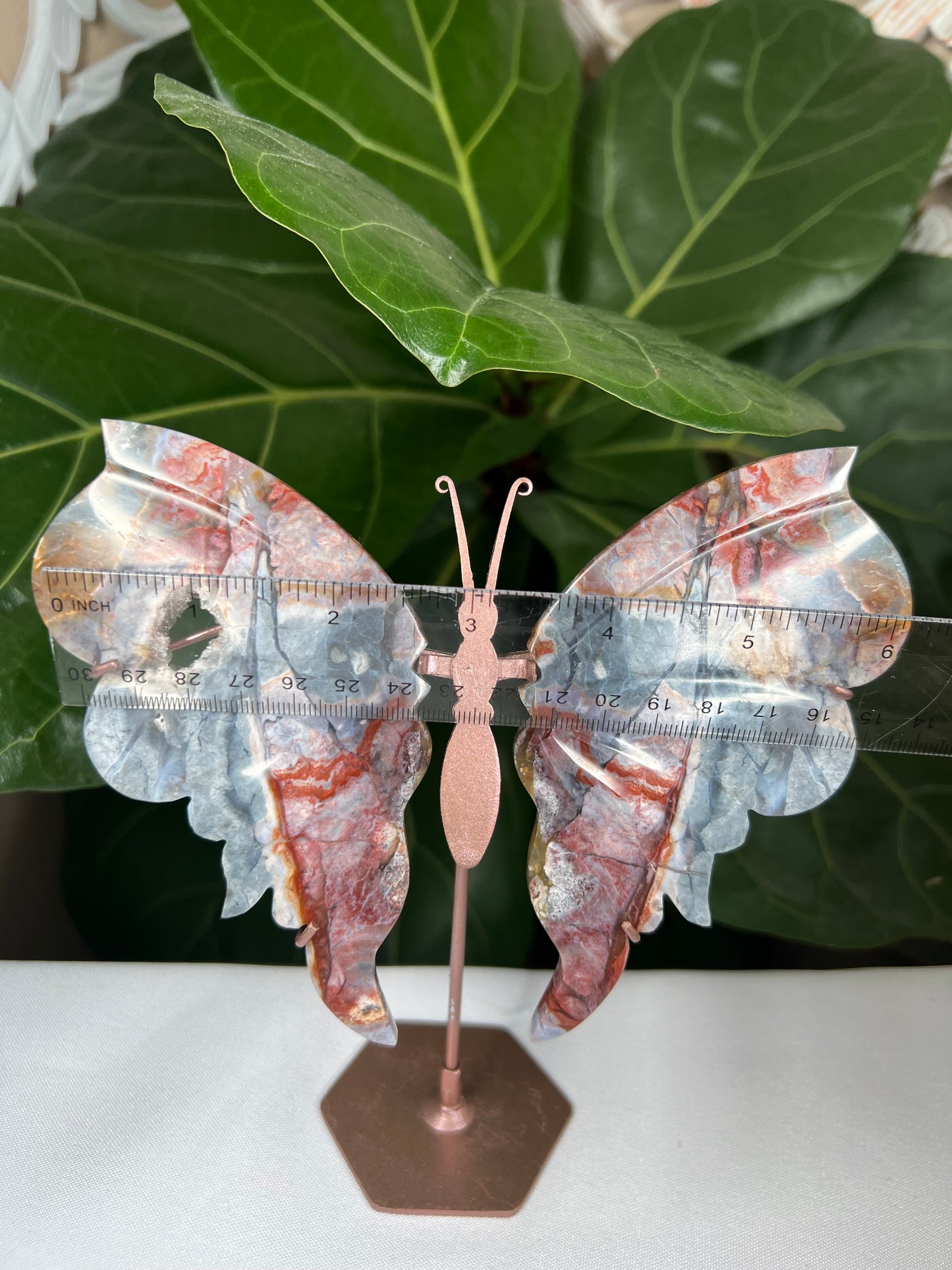 River Jasper Wings