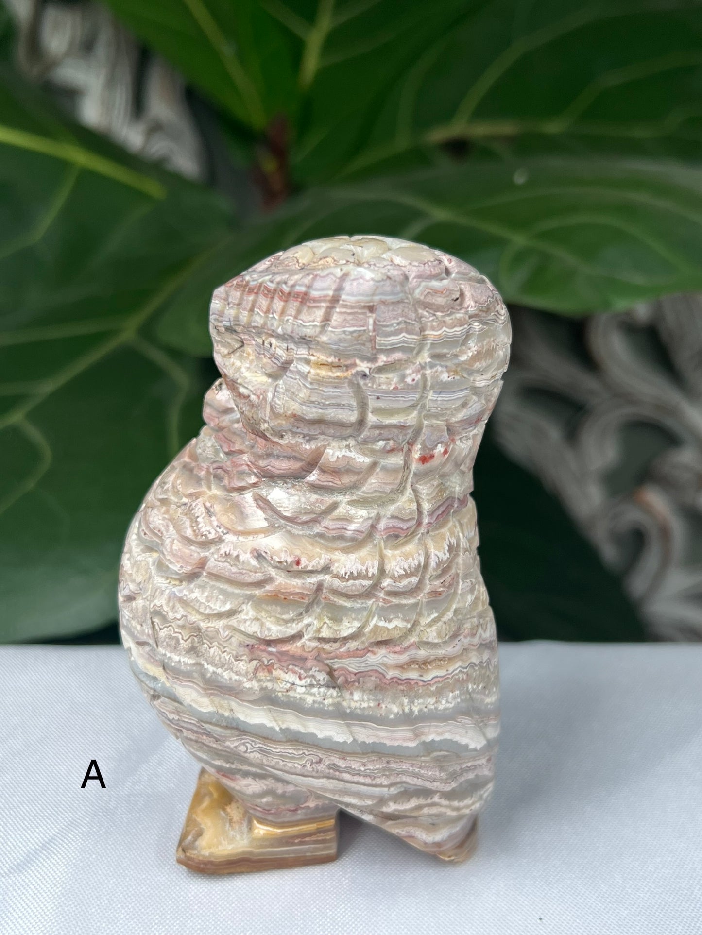 Crazy Lace Agate Owl