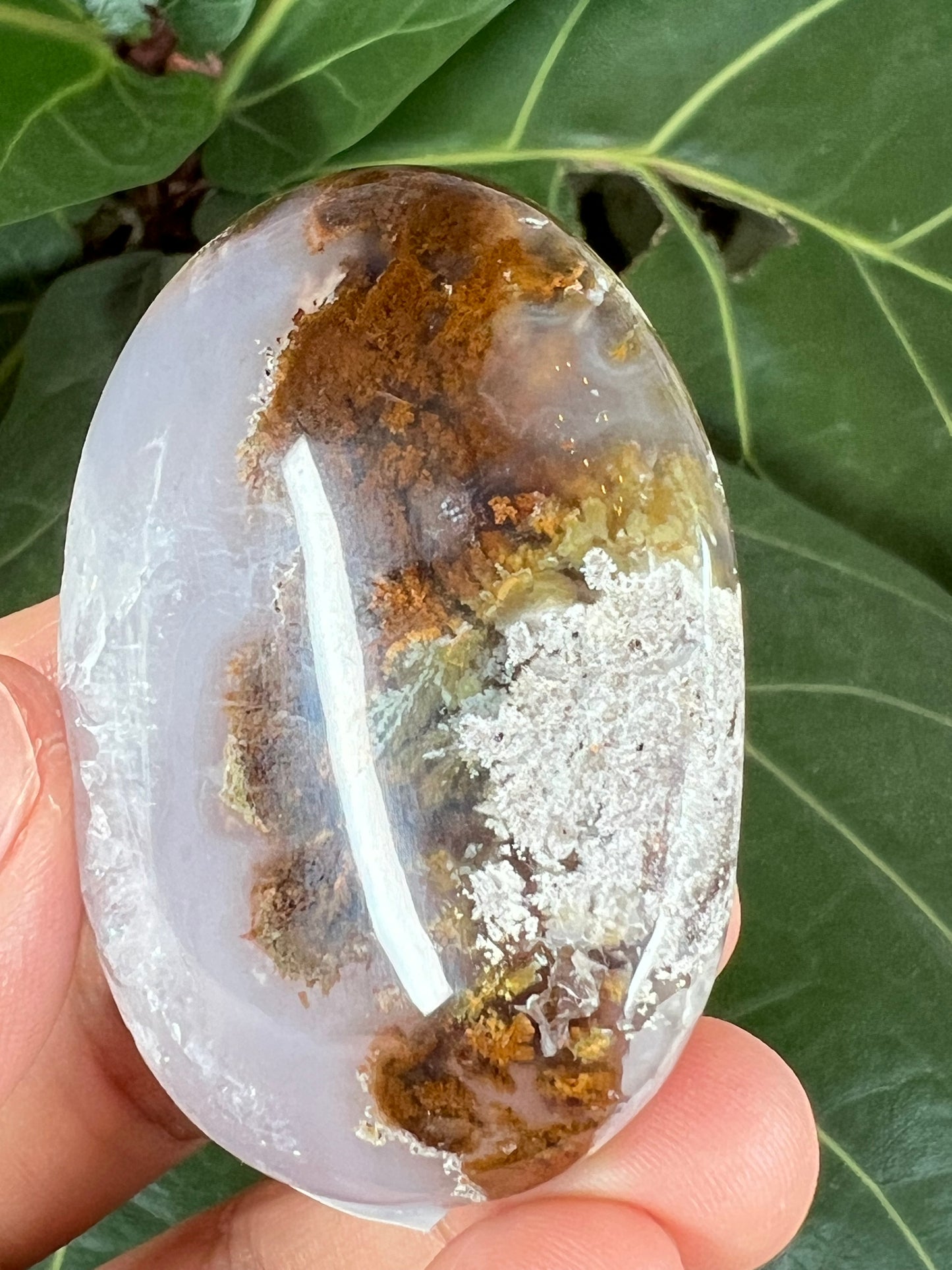 Scenic Moss Agate Palm Stone