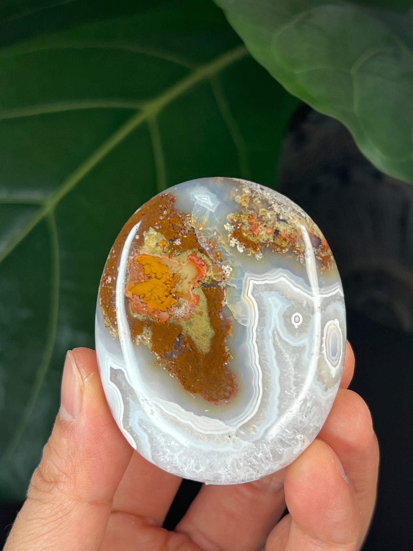 Scenic Moss Agate Palmstone