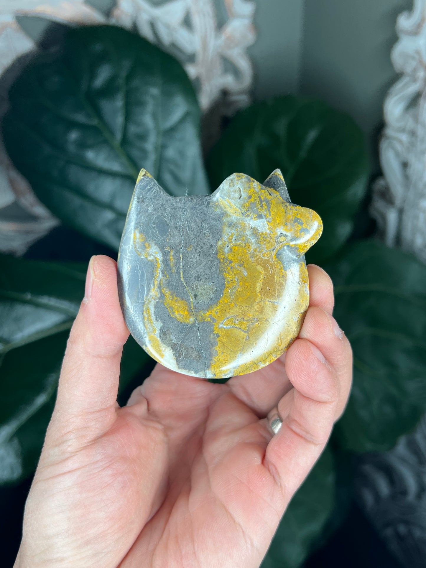 Bumblebee Jasper Cat Head