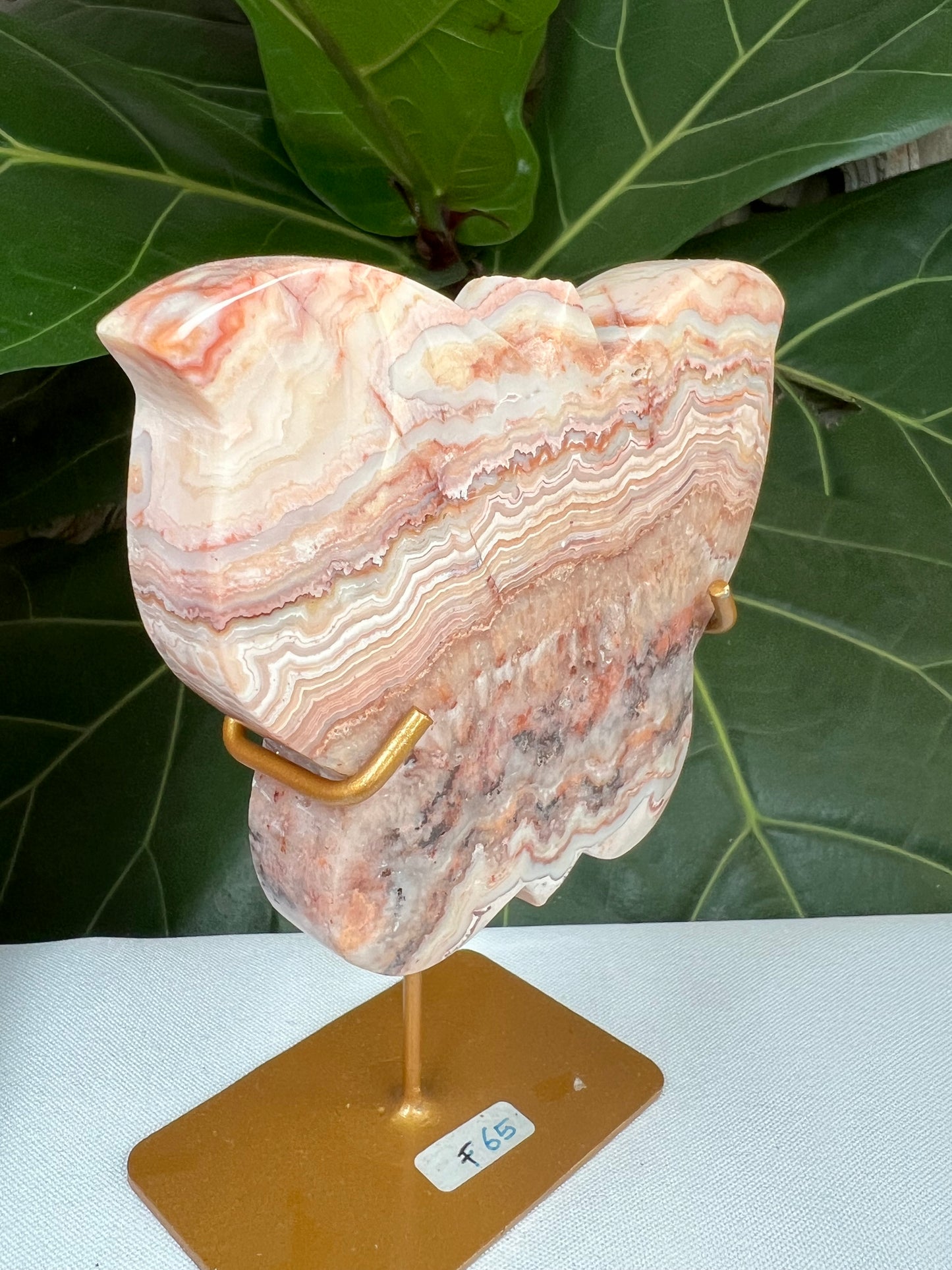 Crazy Lace Agate Butterfly