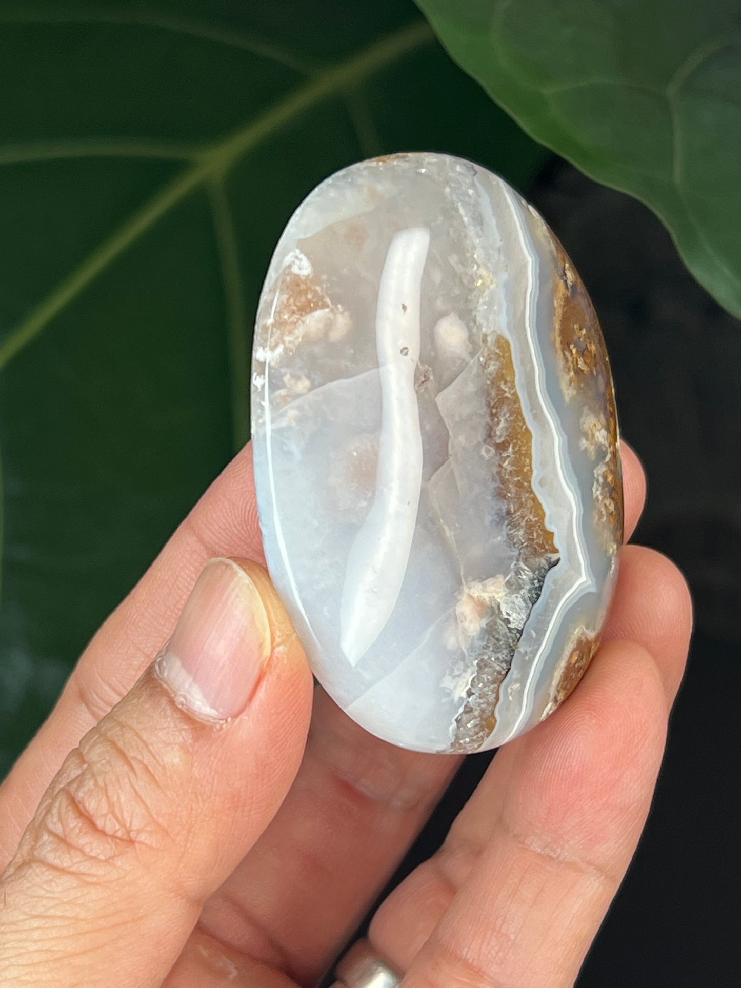 Scenic Moss Agate Palmstone