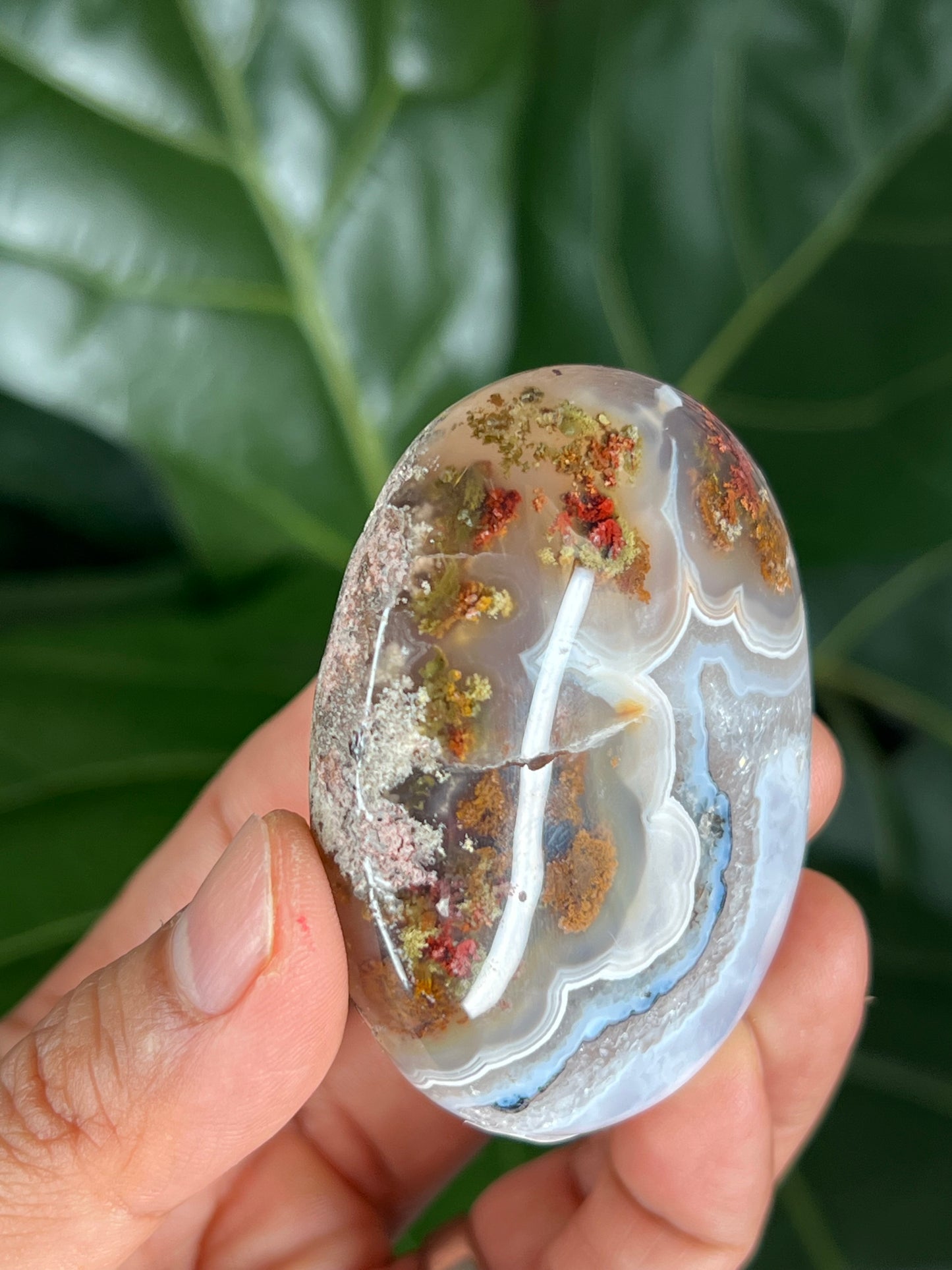 Scenic Moss Agate Palmstone