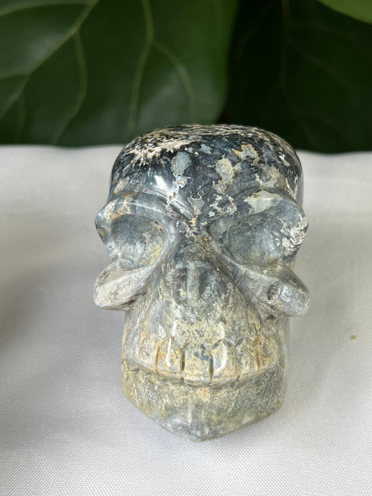 Blue Plume Agate Skull