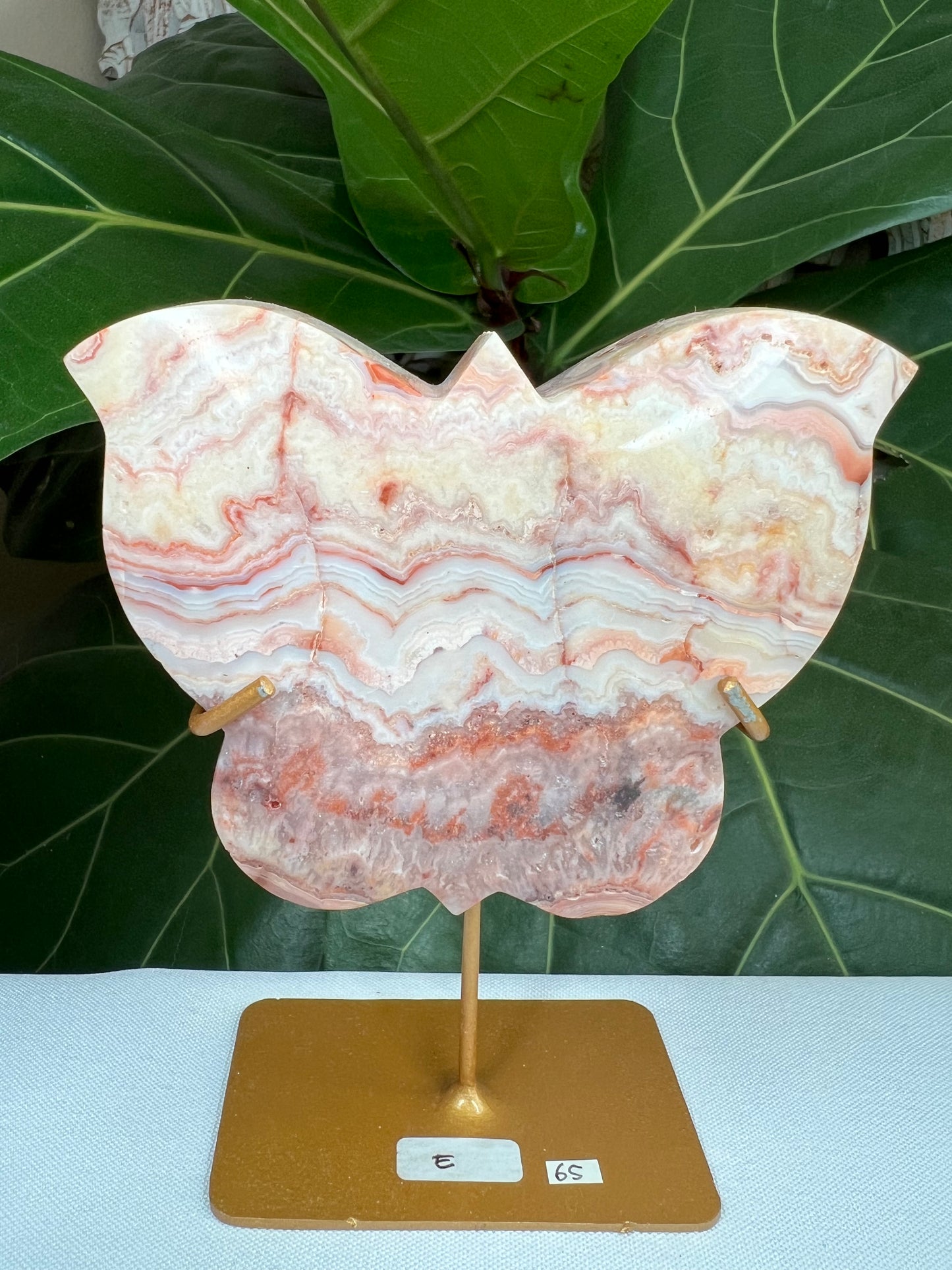 Crazy Lace Agate Butterfly