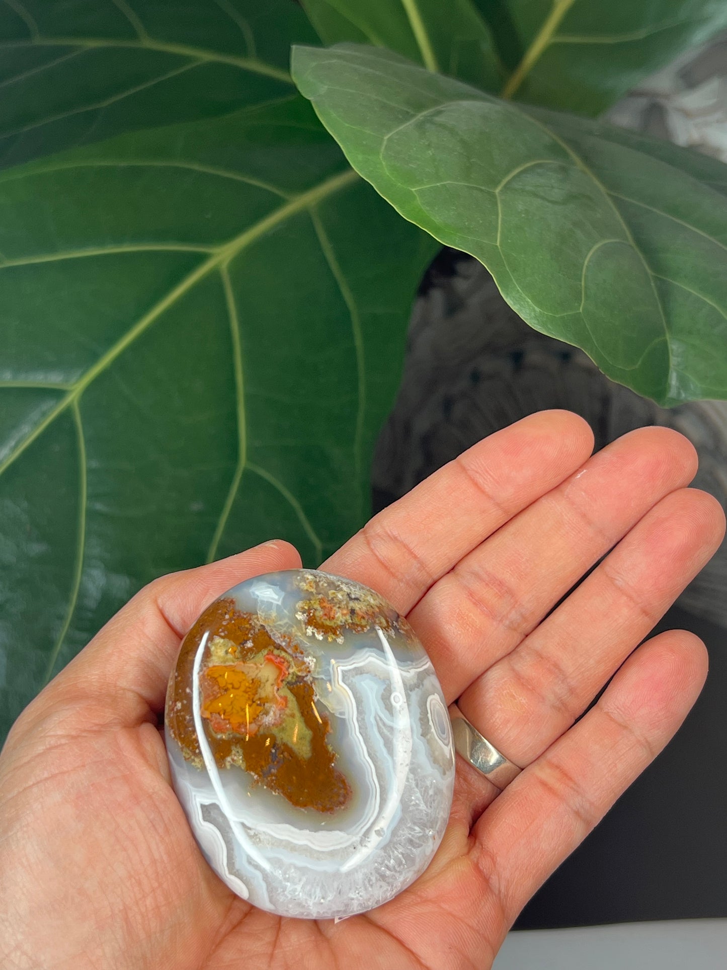 Scenic Moss Agate Palmstone