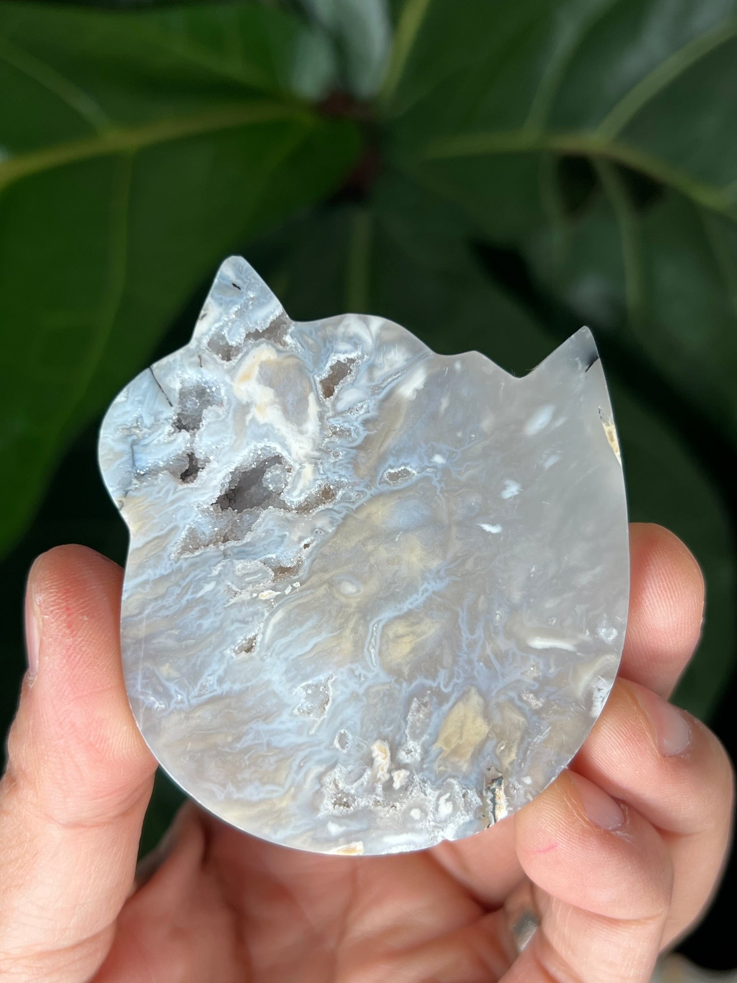 Tiger Dendritic Agate Cat