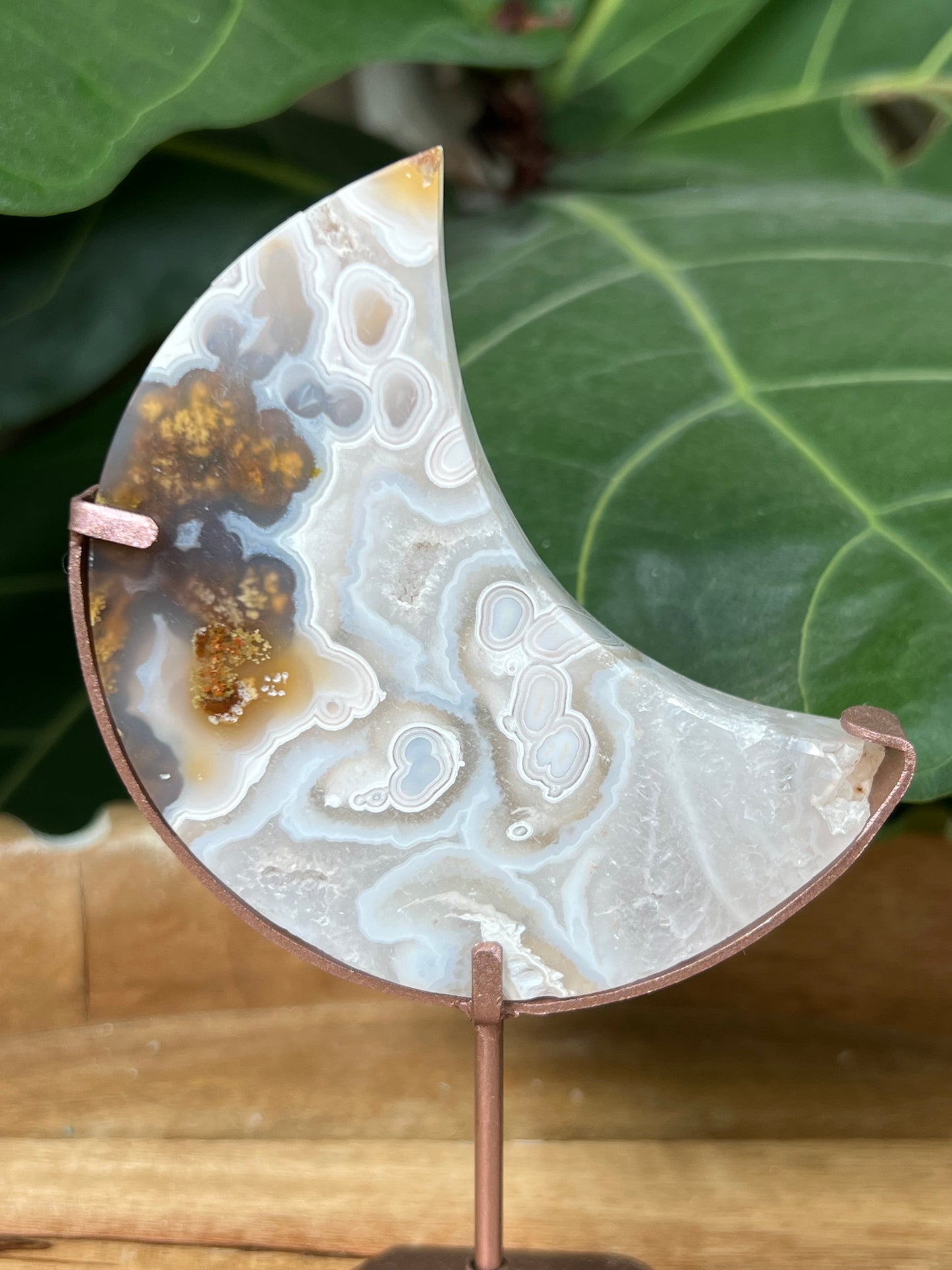 Scenic Moss Agate on Stand