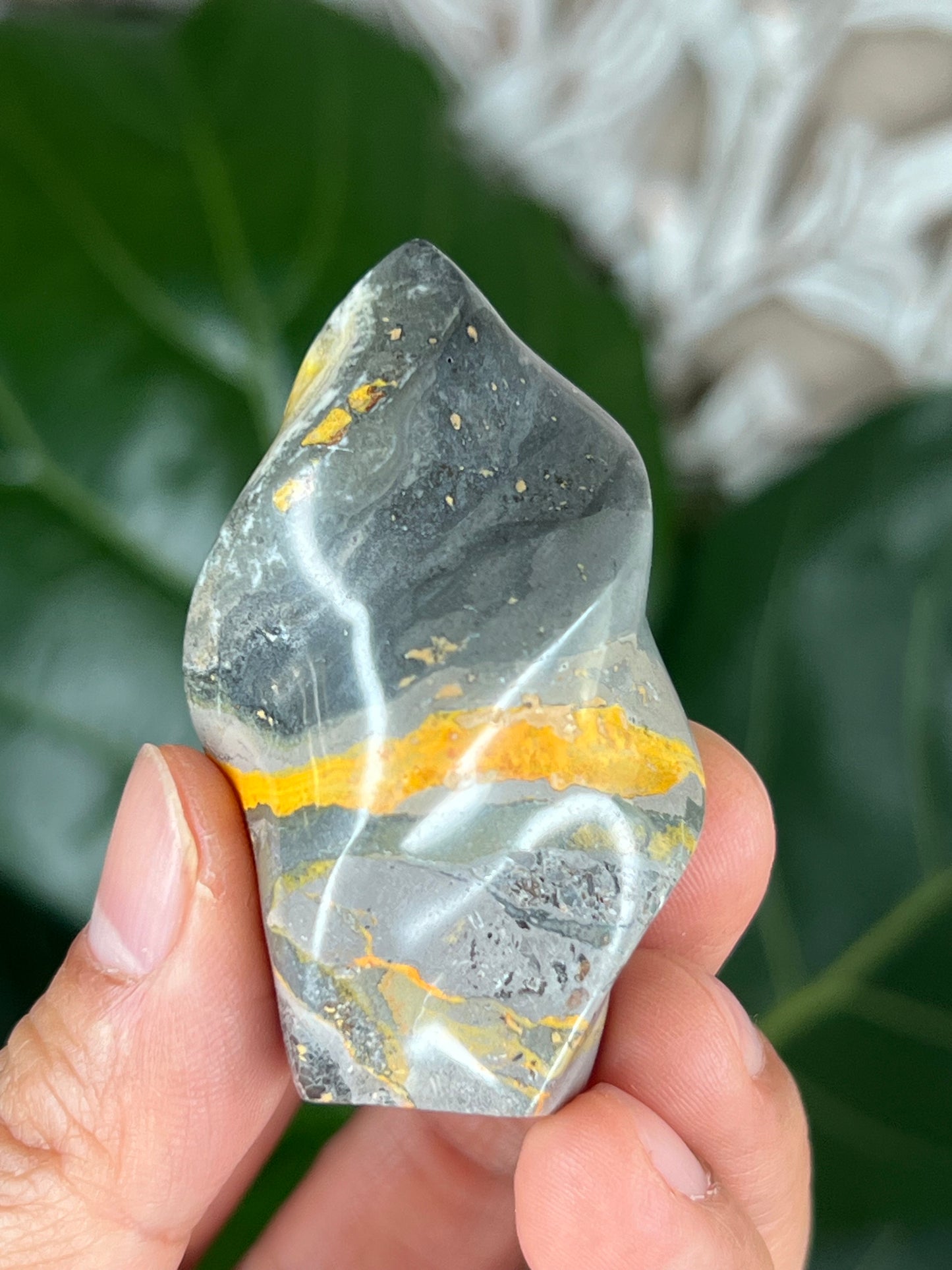 Bumblebee Jasper Flame