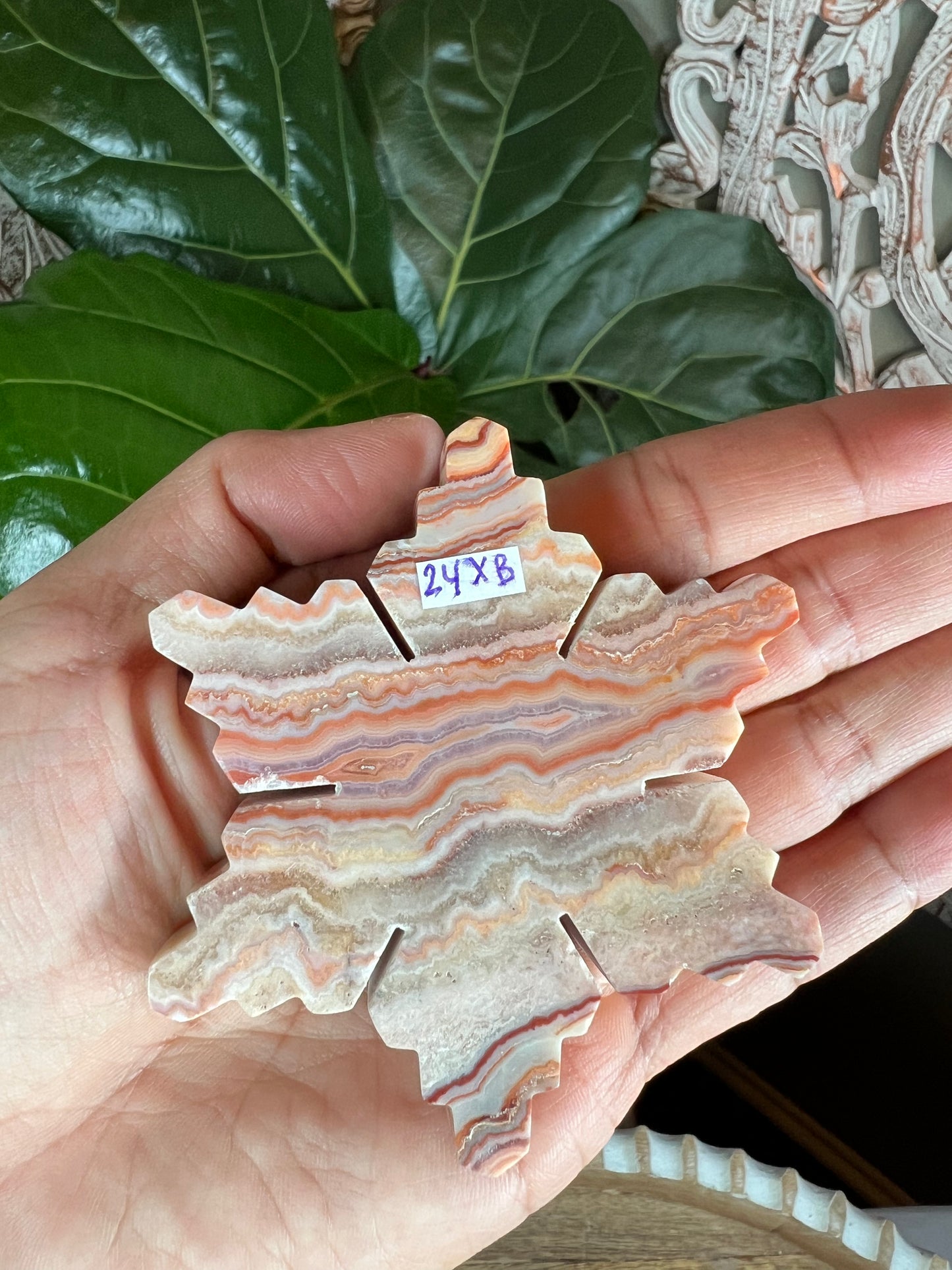 Crazy Lace Agate Snowflake