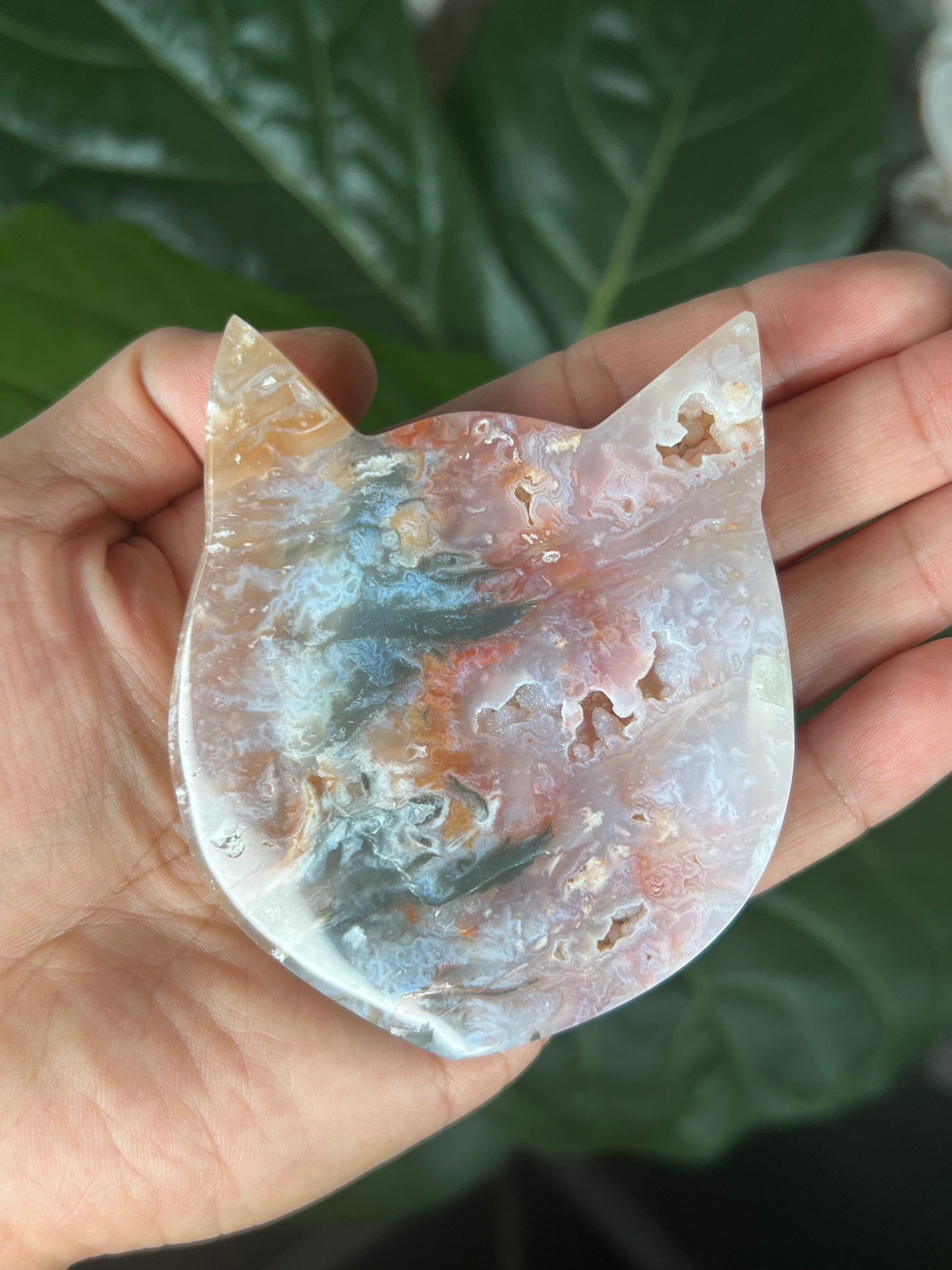 Rainbow Plume Agate Cat