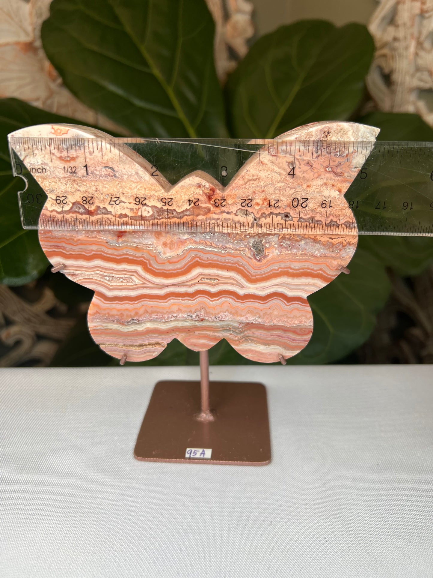 Crazy Lace Agate Butterfly