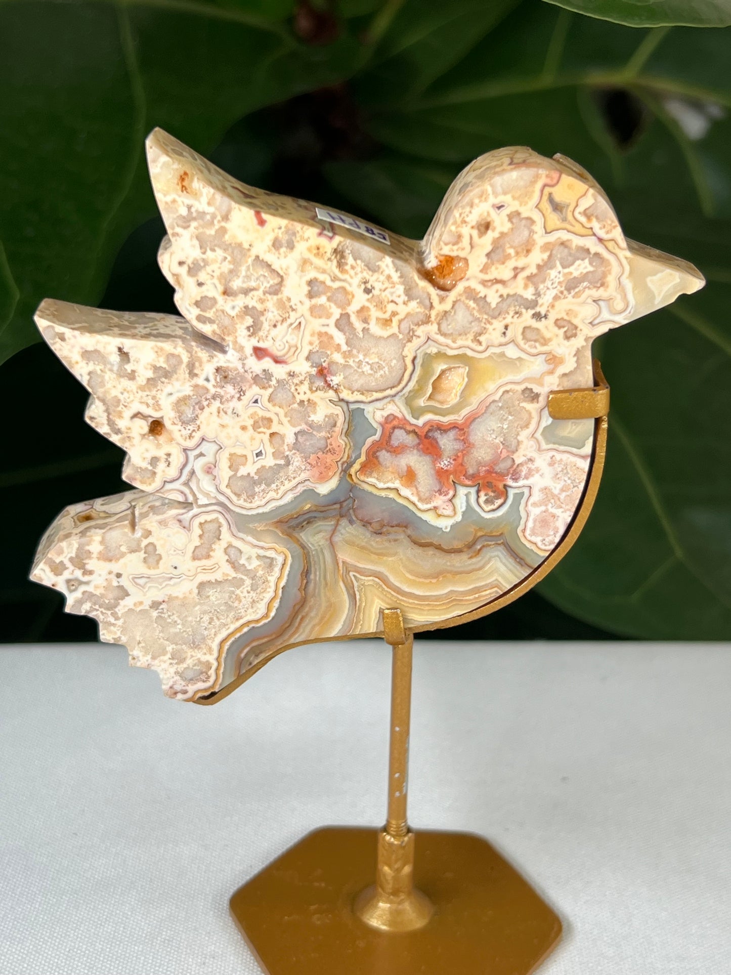 Crazy Lace Agate Bird