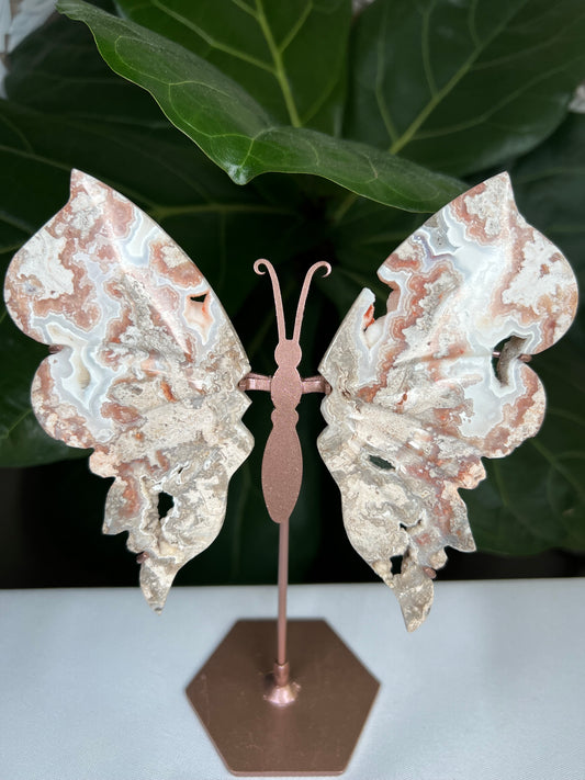 Crazy Lace Agate Wings