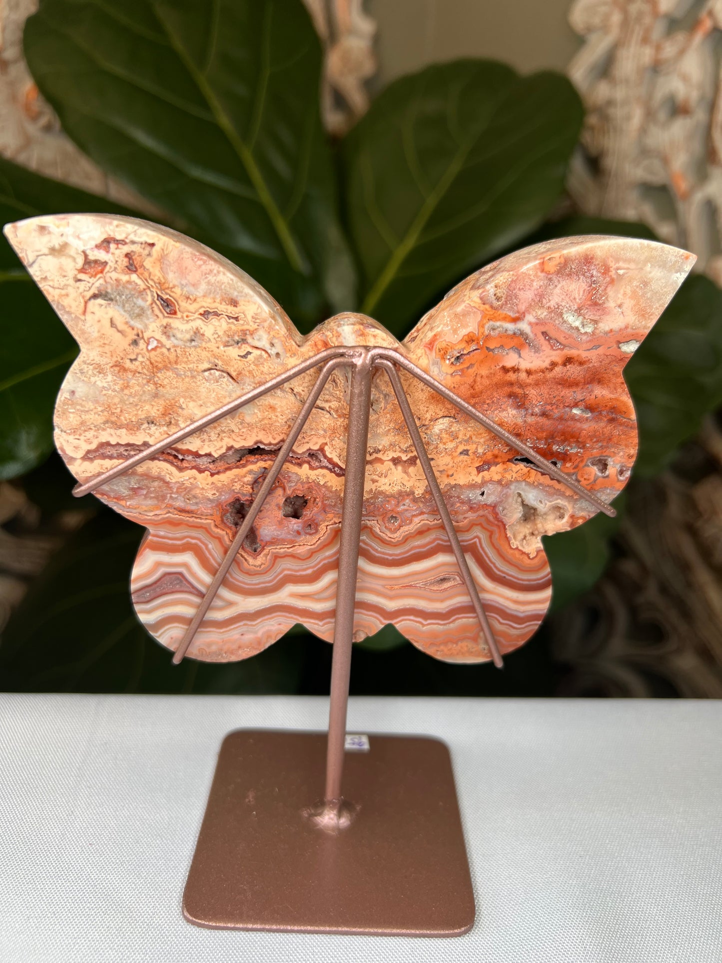 Crazy Lace Agate Butterfly