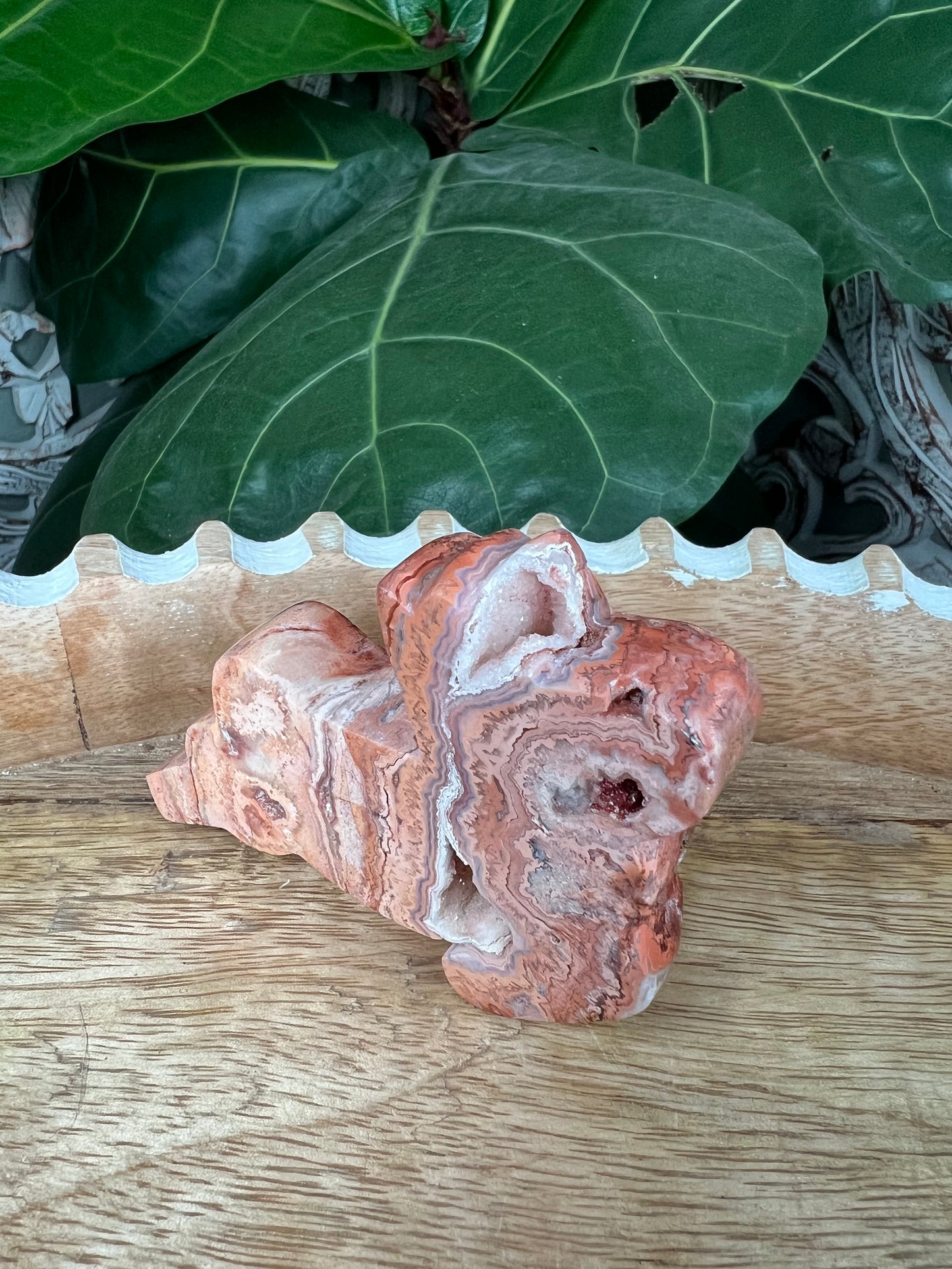 Crazy Lace Agate Deer