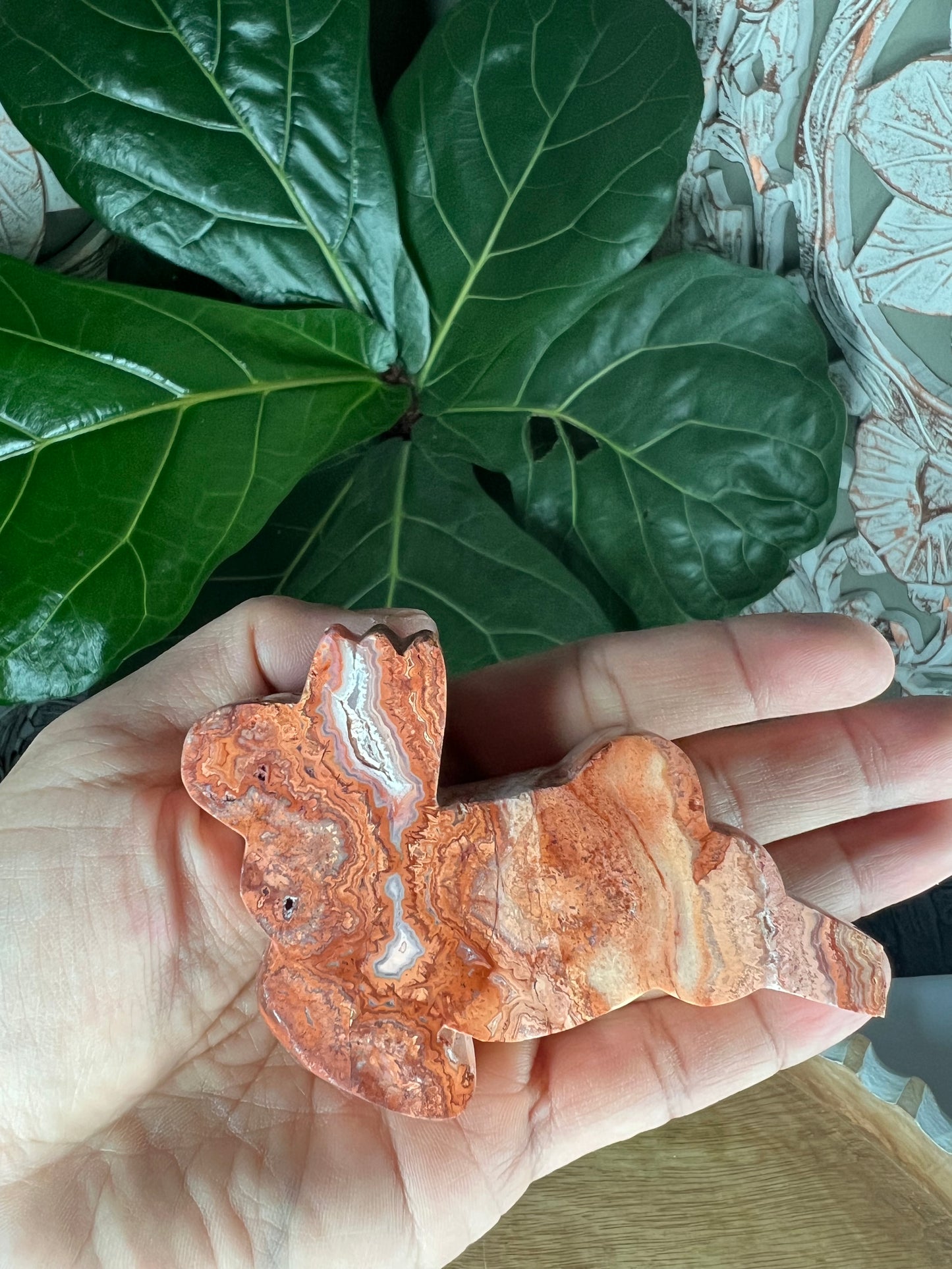 Crazy Lace Agate Deer