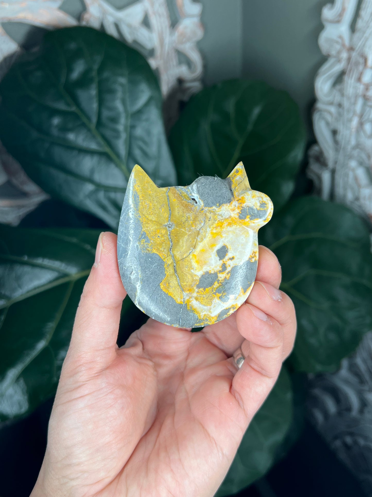 Bumblebee Jasper Cat Head