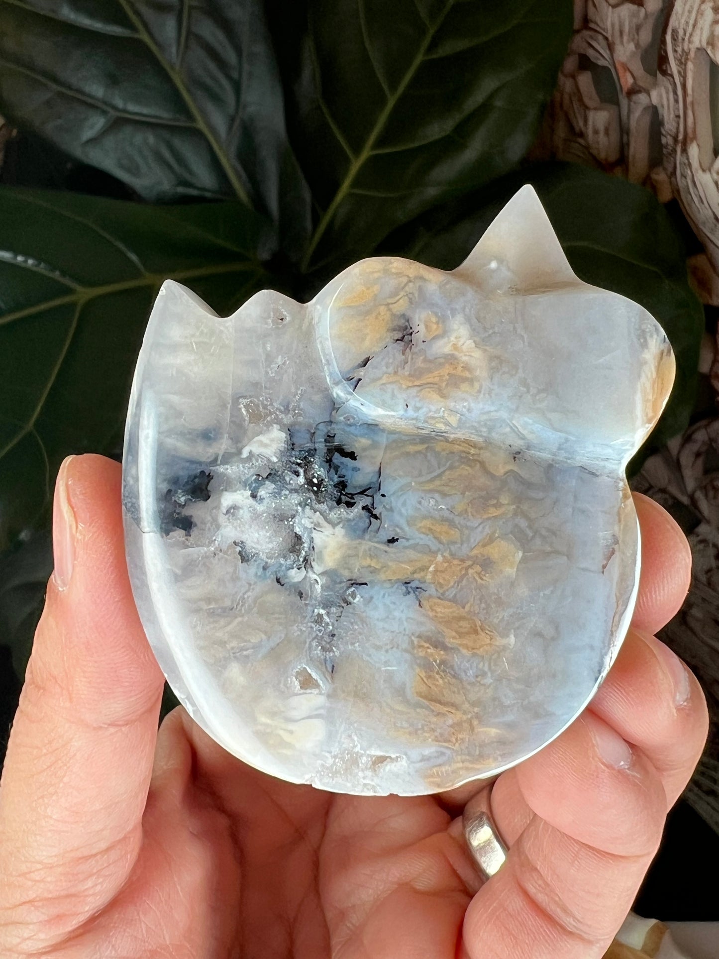 Dendritic Tiger Agate Cat