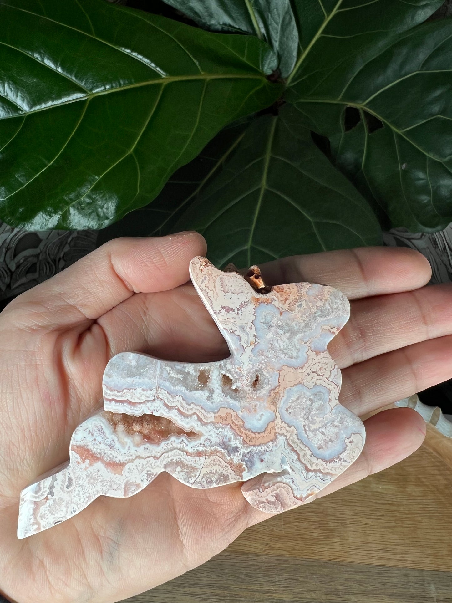 Crazy Lace Agate Deer