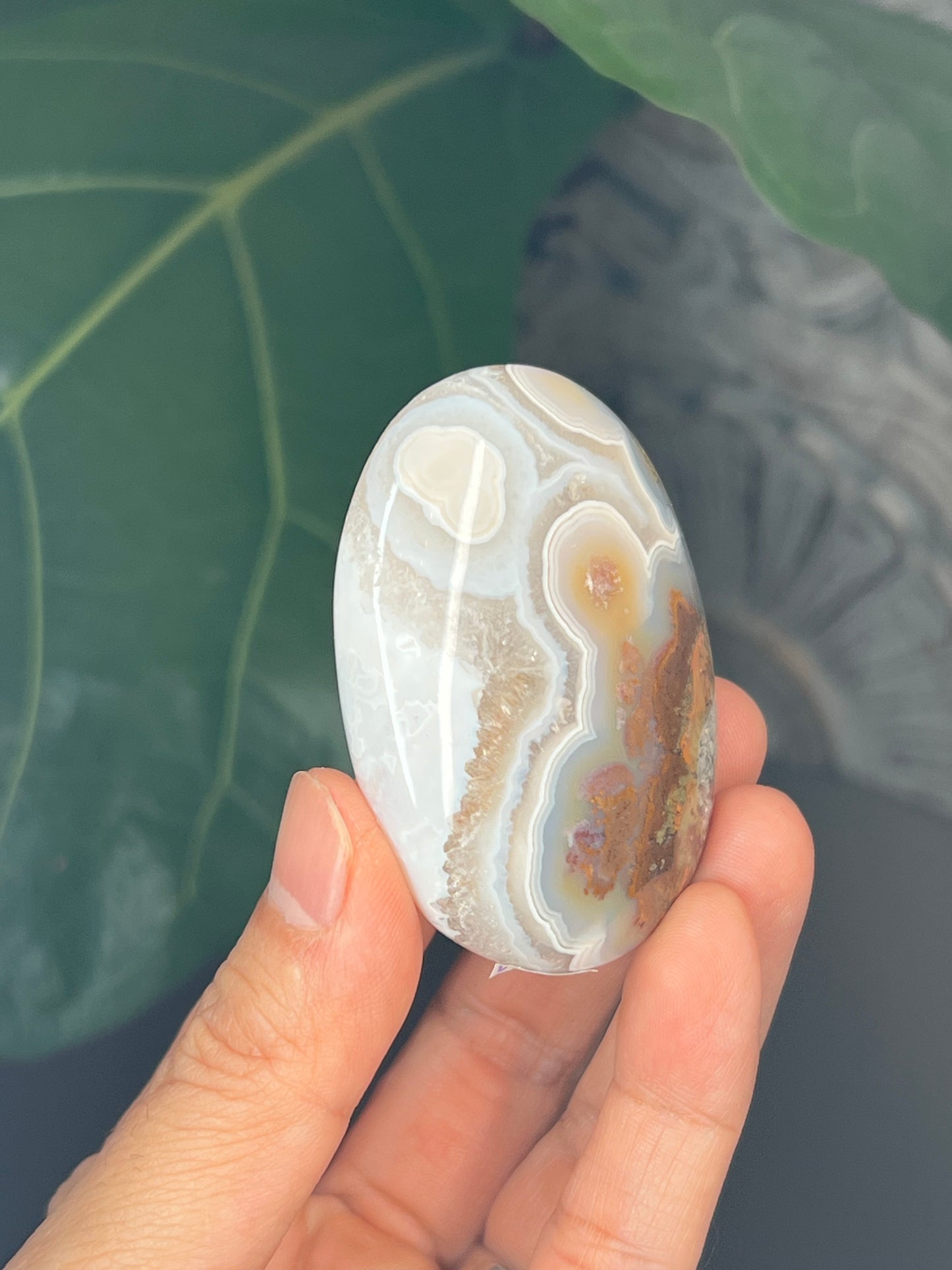 Scenic Moss Agate Palmstone