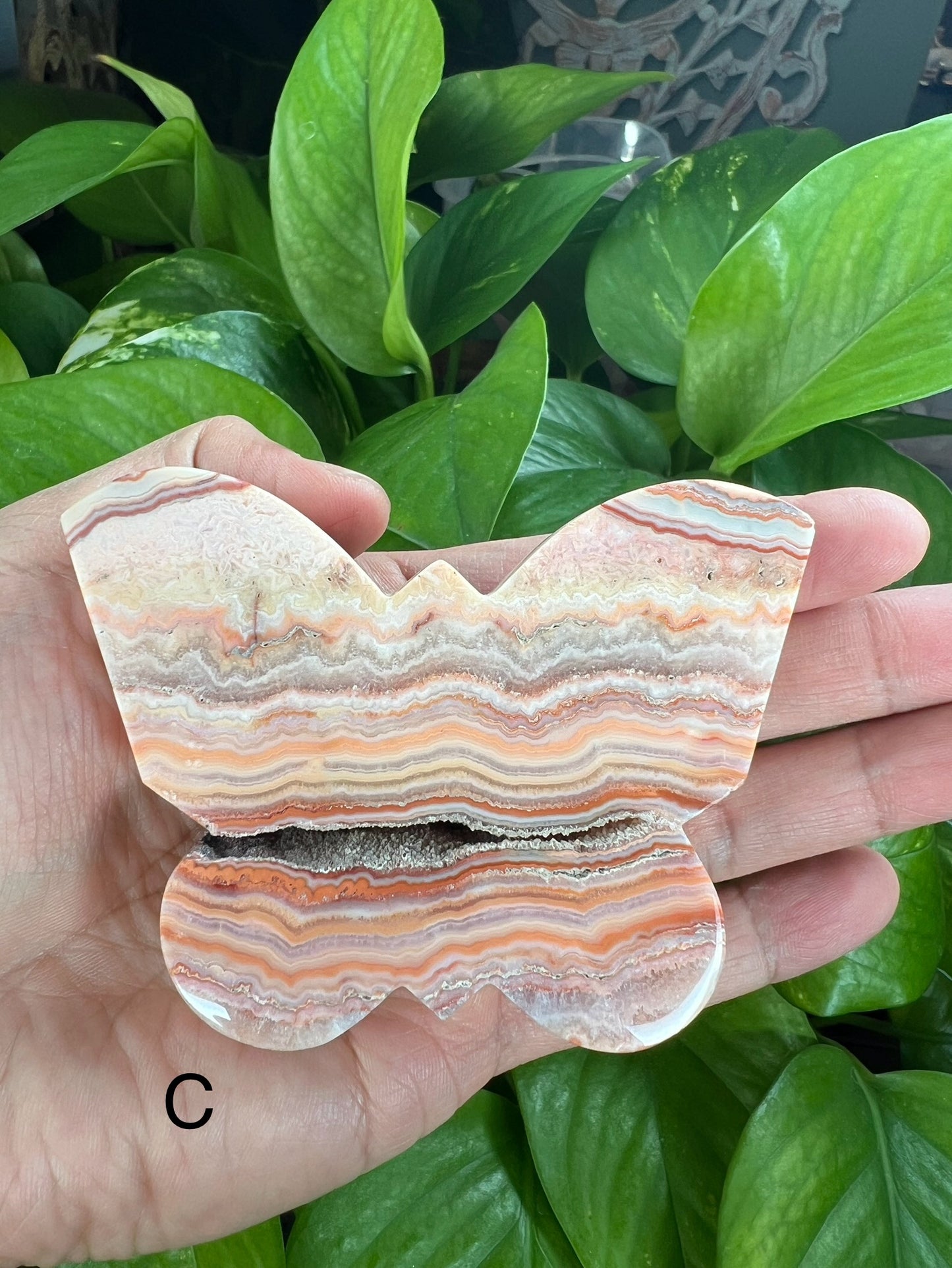 Crazy Lace Agate Butterfly