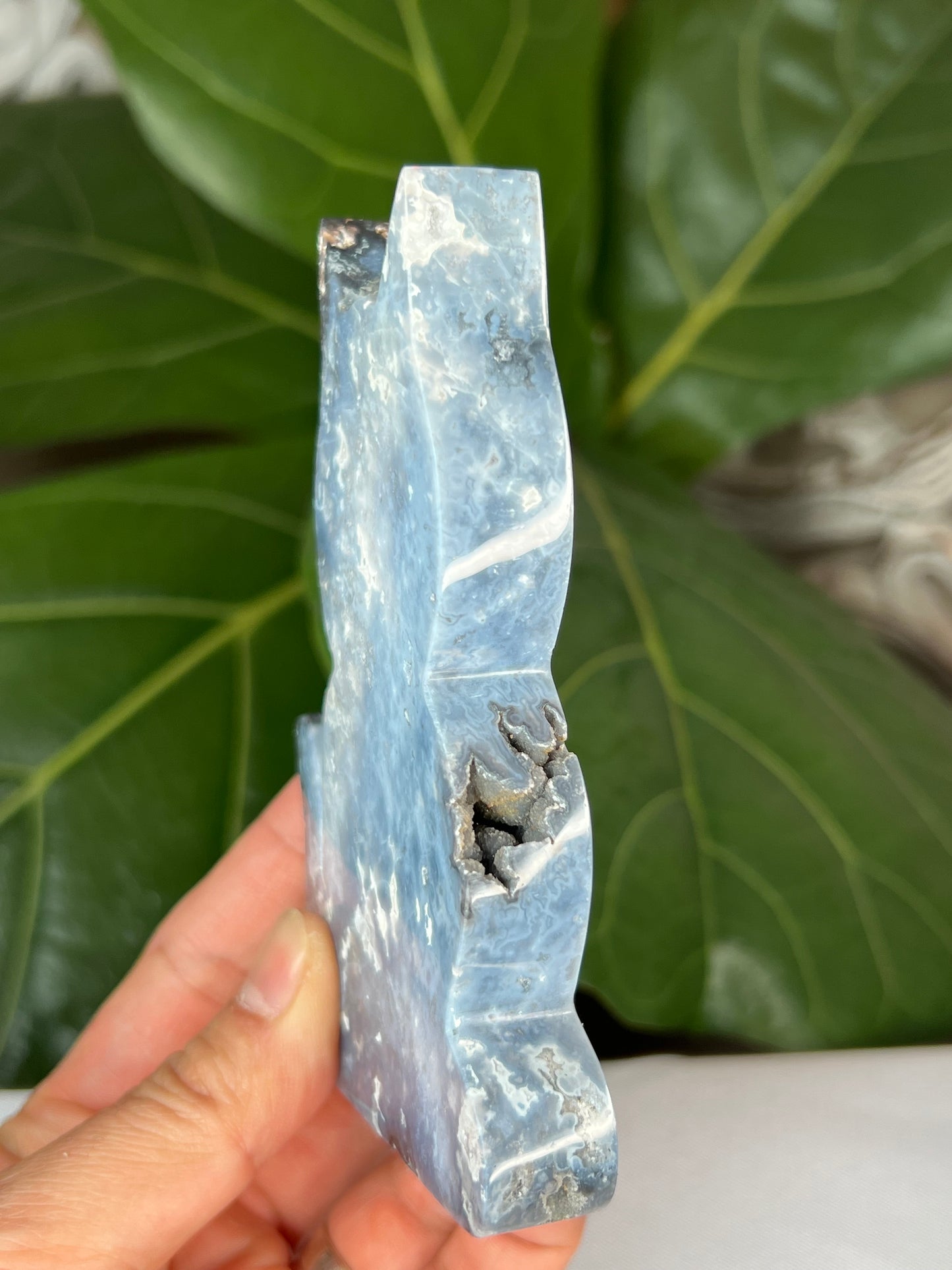 Blue Plume Agate Cat