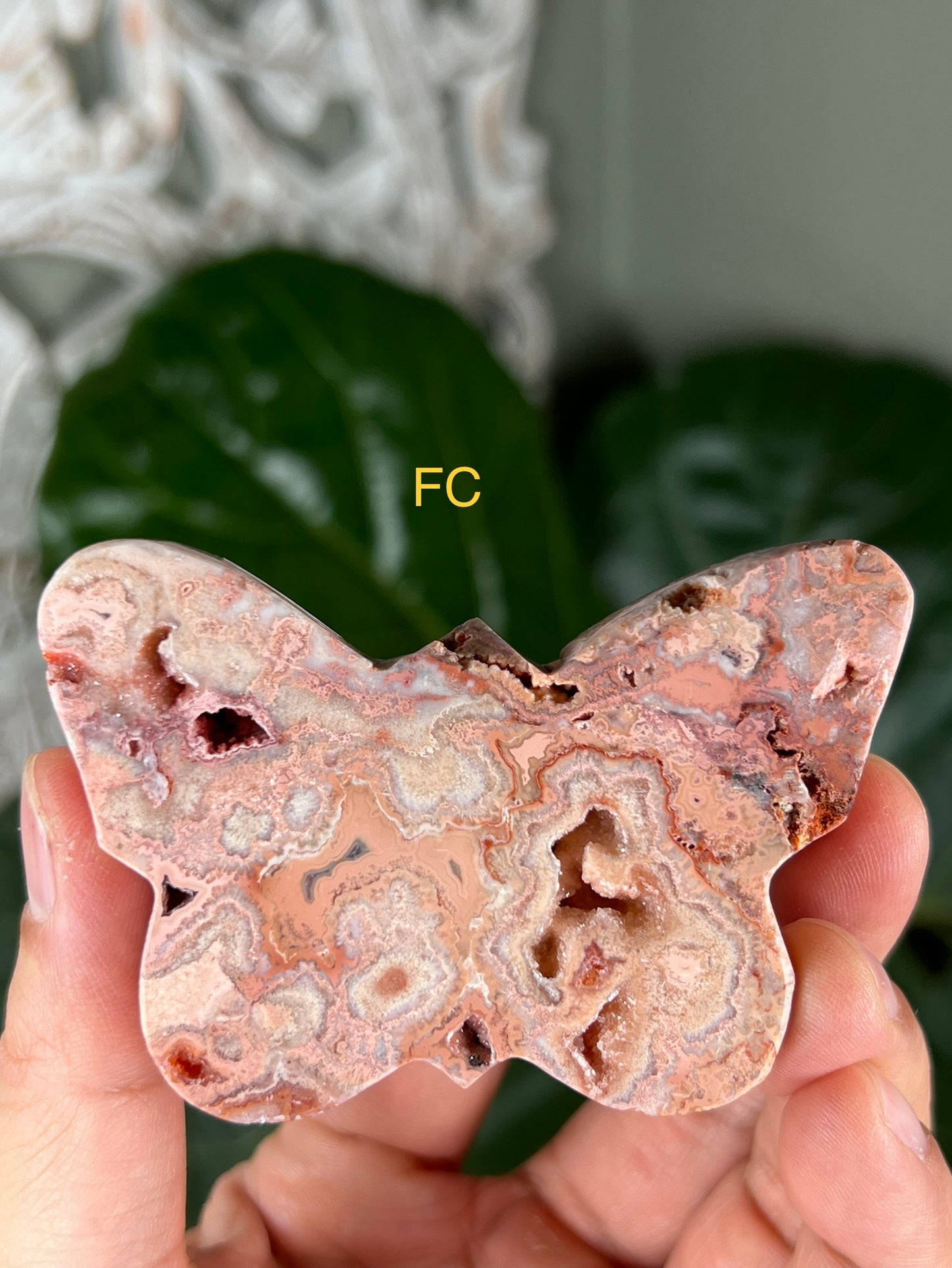 Crazy Lace Agate Butterflies