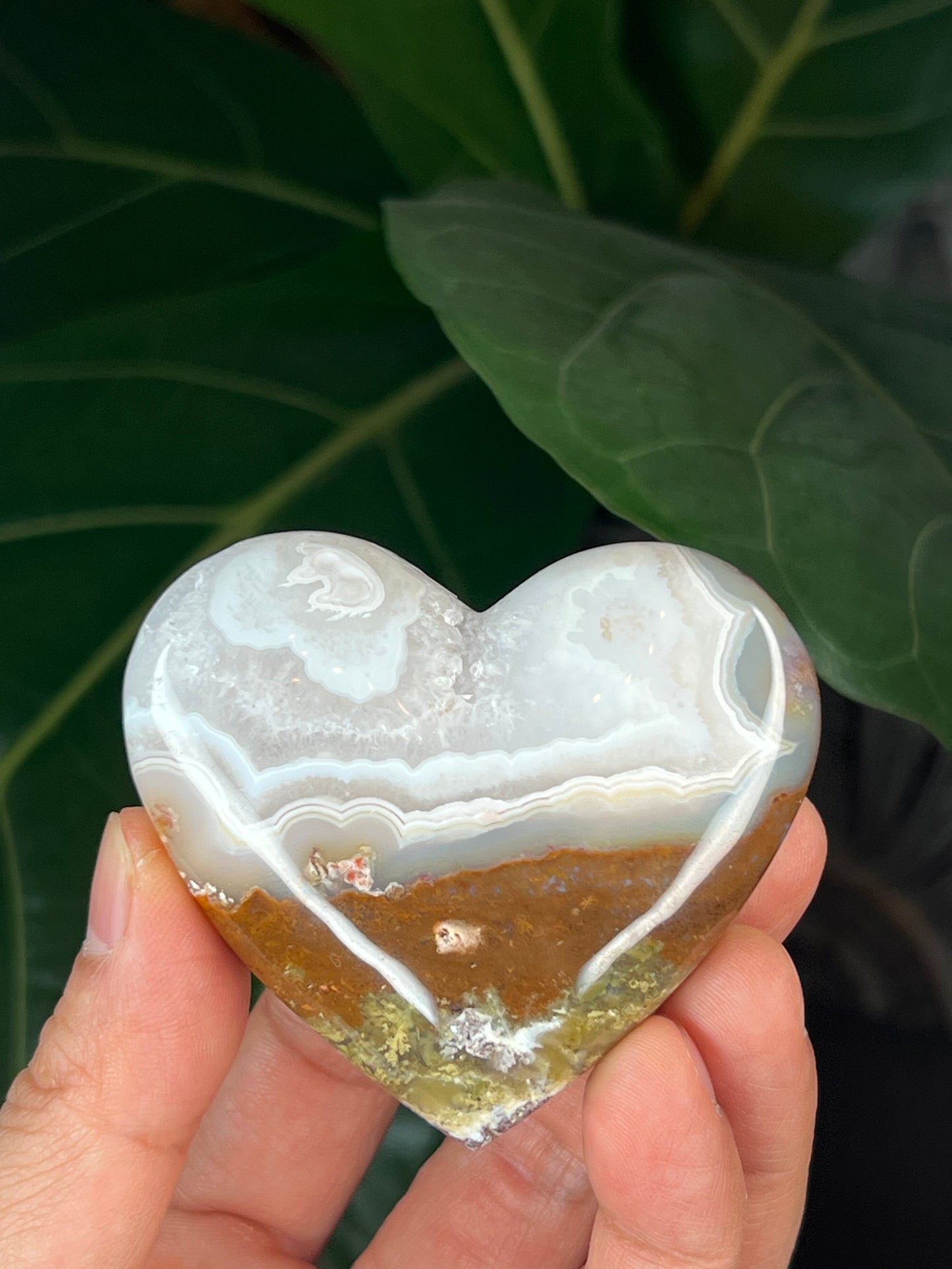 Scenic Moss Agate Heart