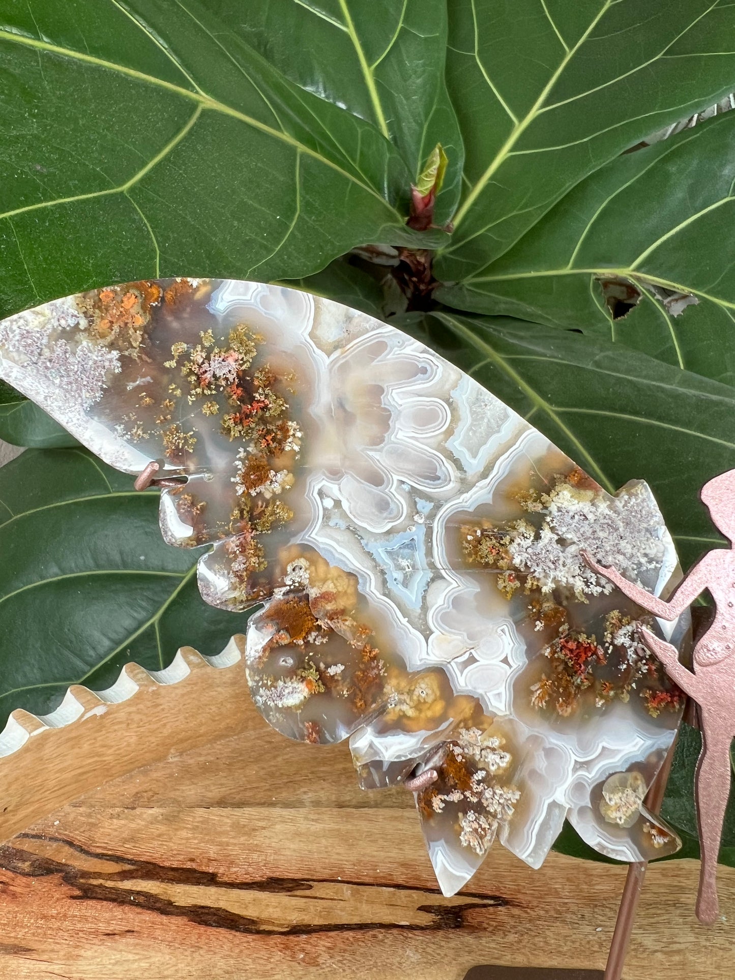 Scenic moss agate wings