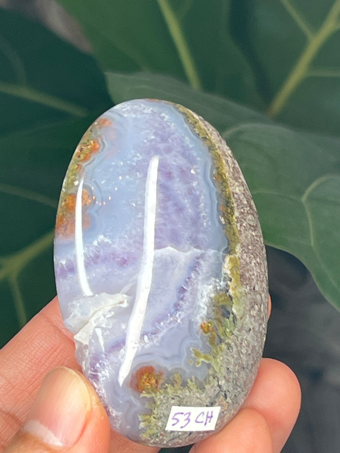 Scenic Moss Agate Palmstone