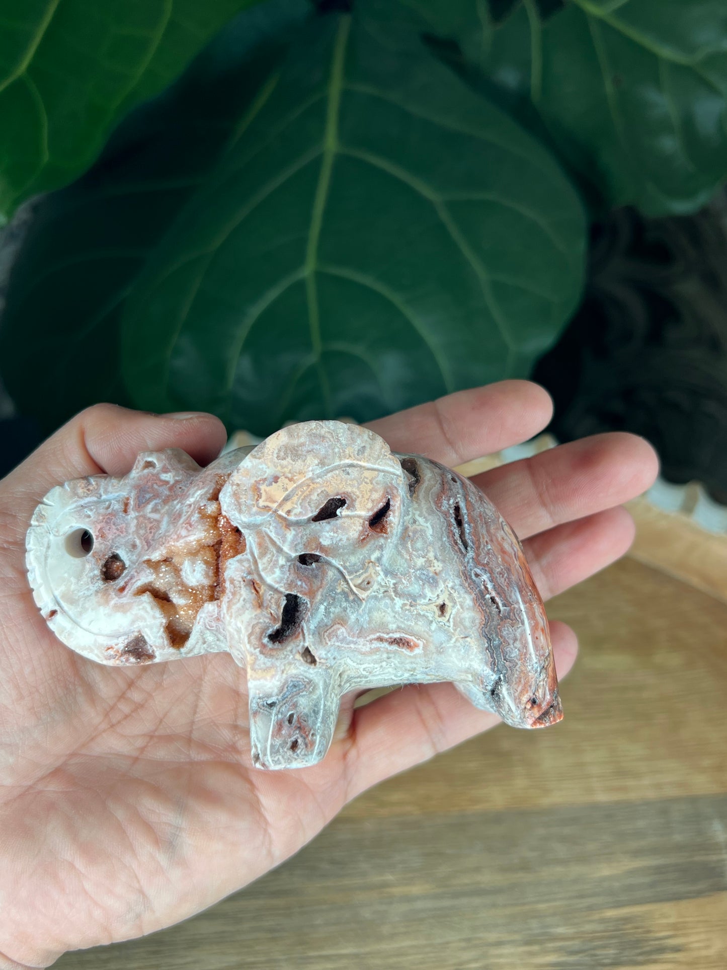 Crazy Lace Agate Elephant