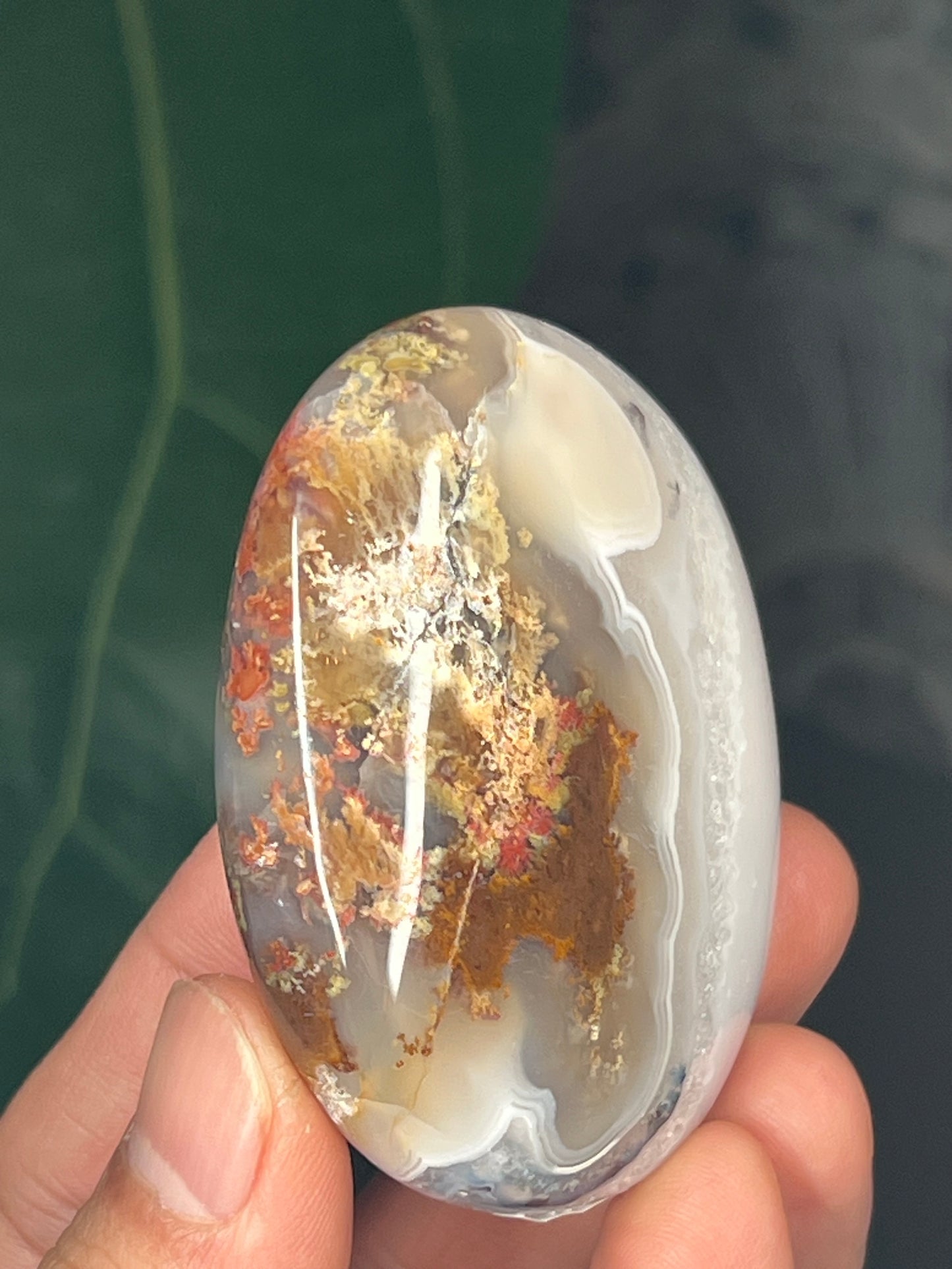 Scenic Moss Agate Palmstone