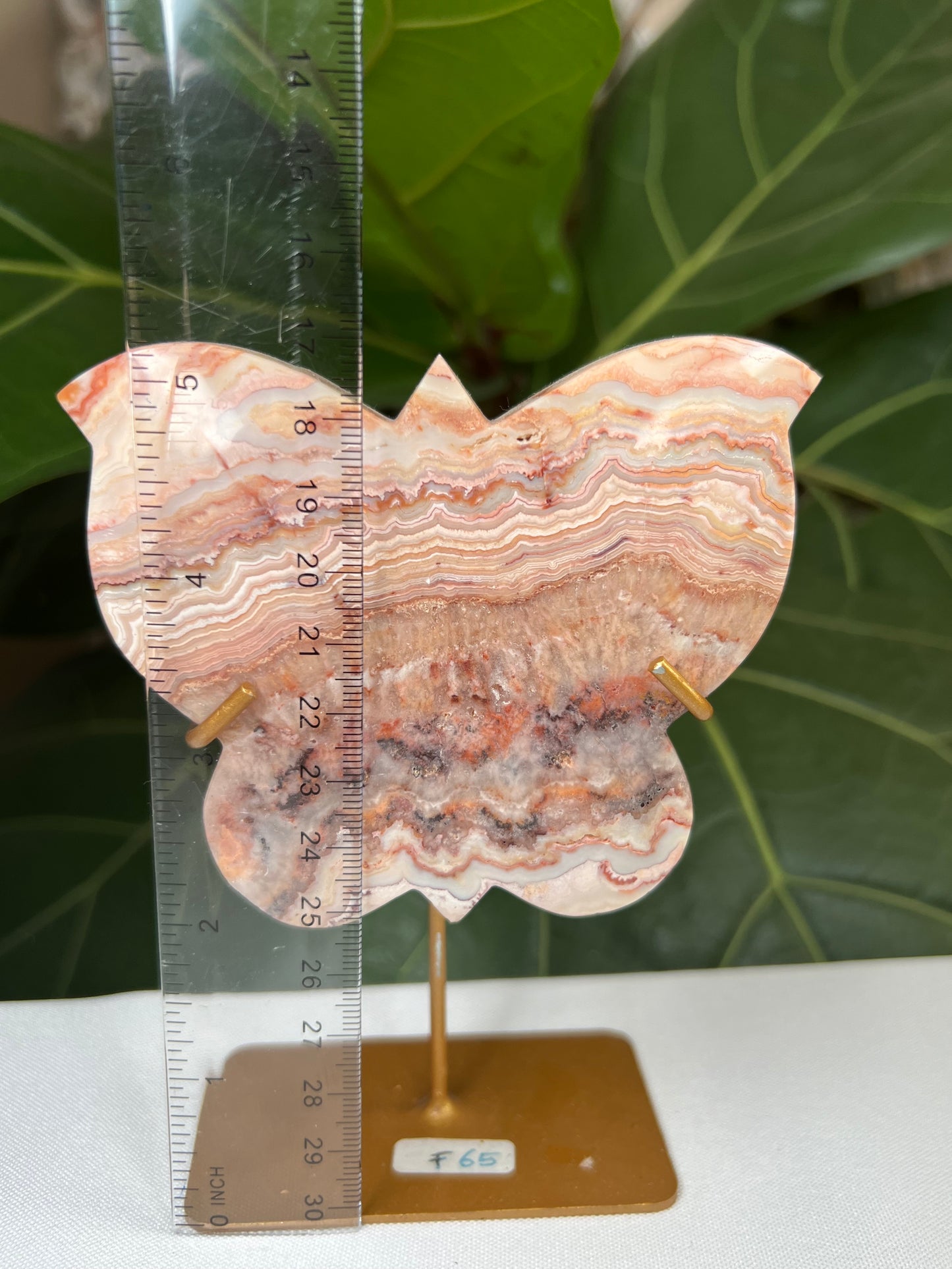 Crazy Lace Agate Butterfly