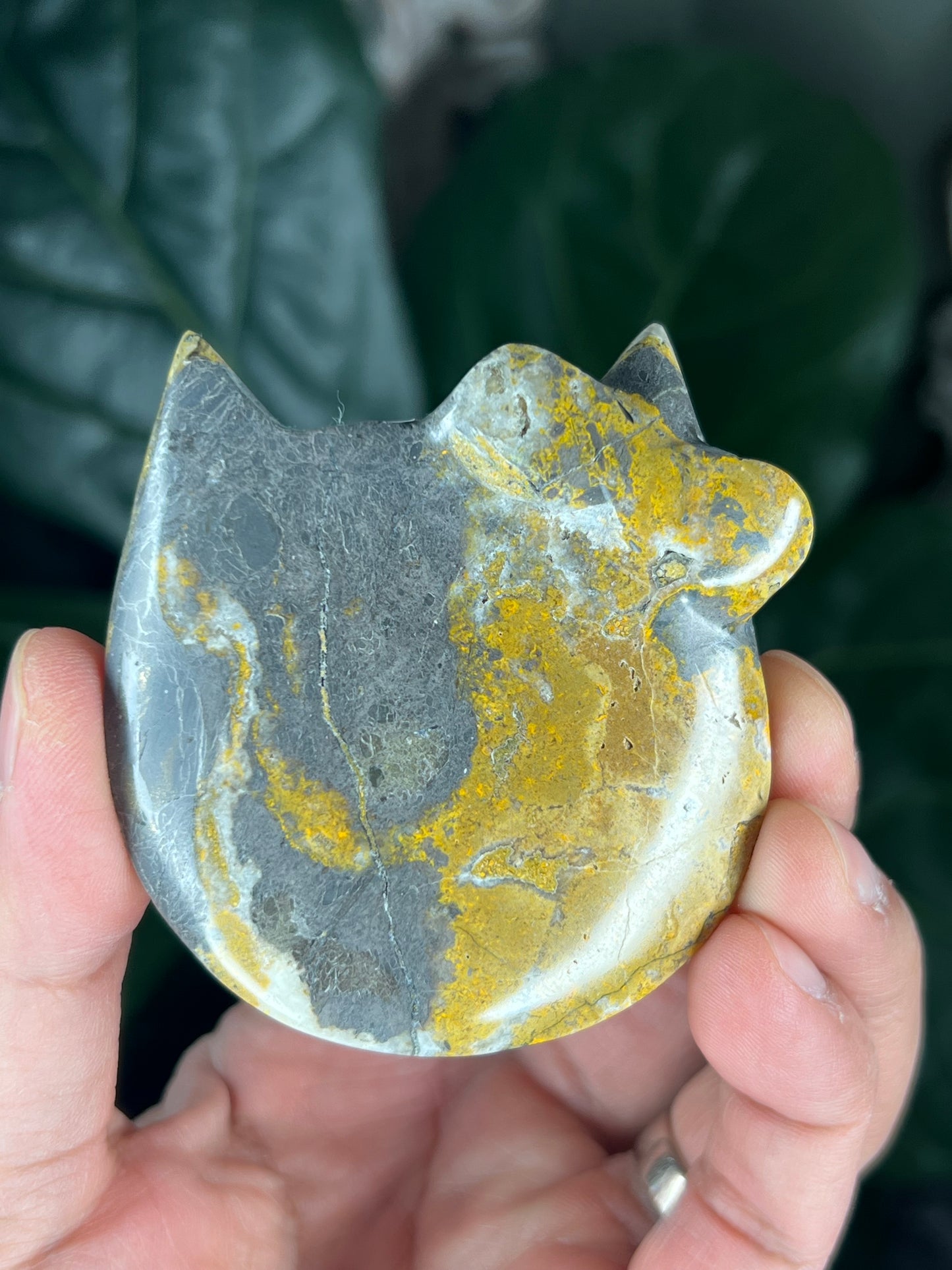 Bumblebee Jasper Cat Head