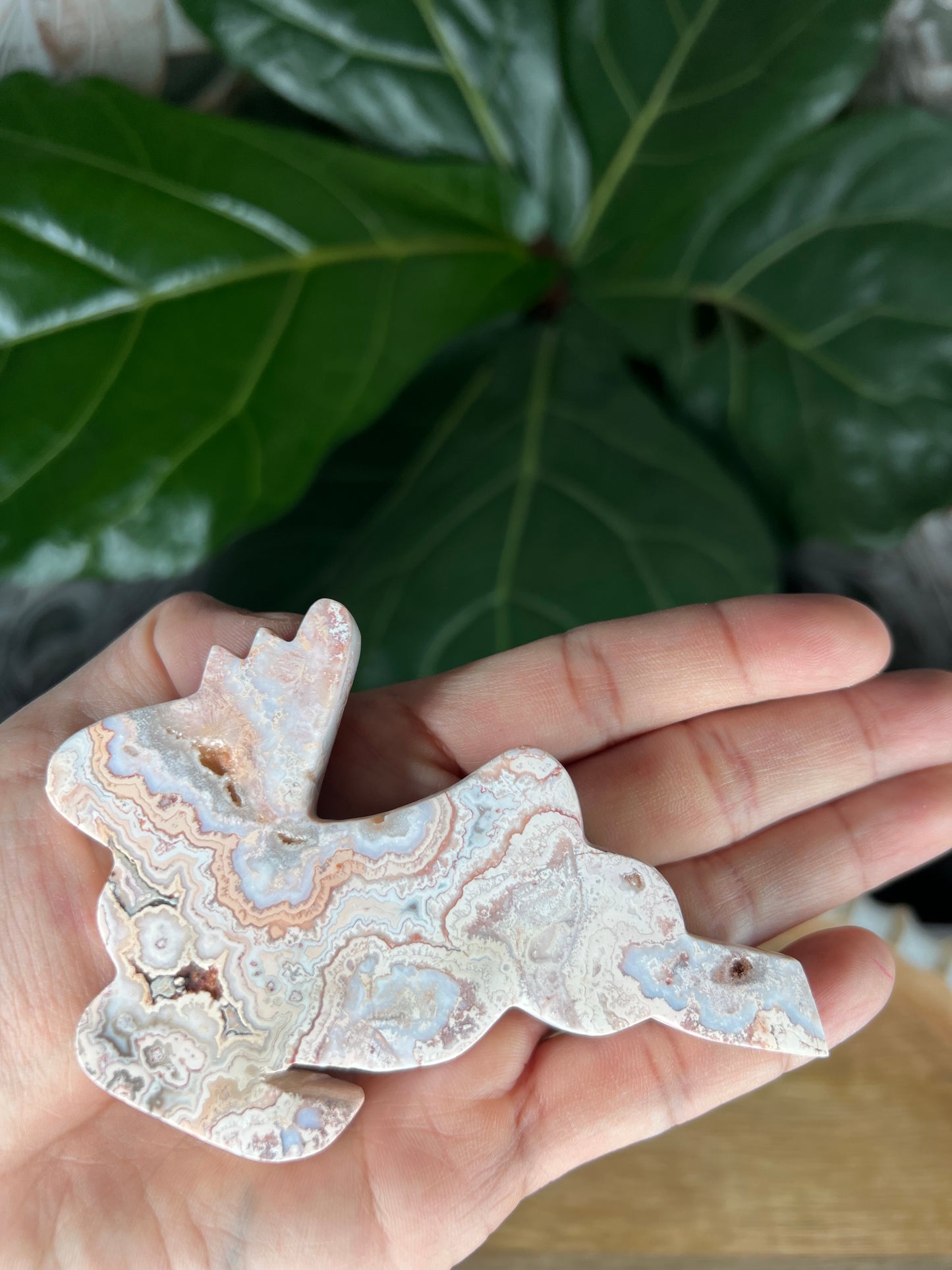 Crazy Lace Agate Deer