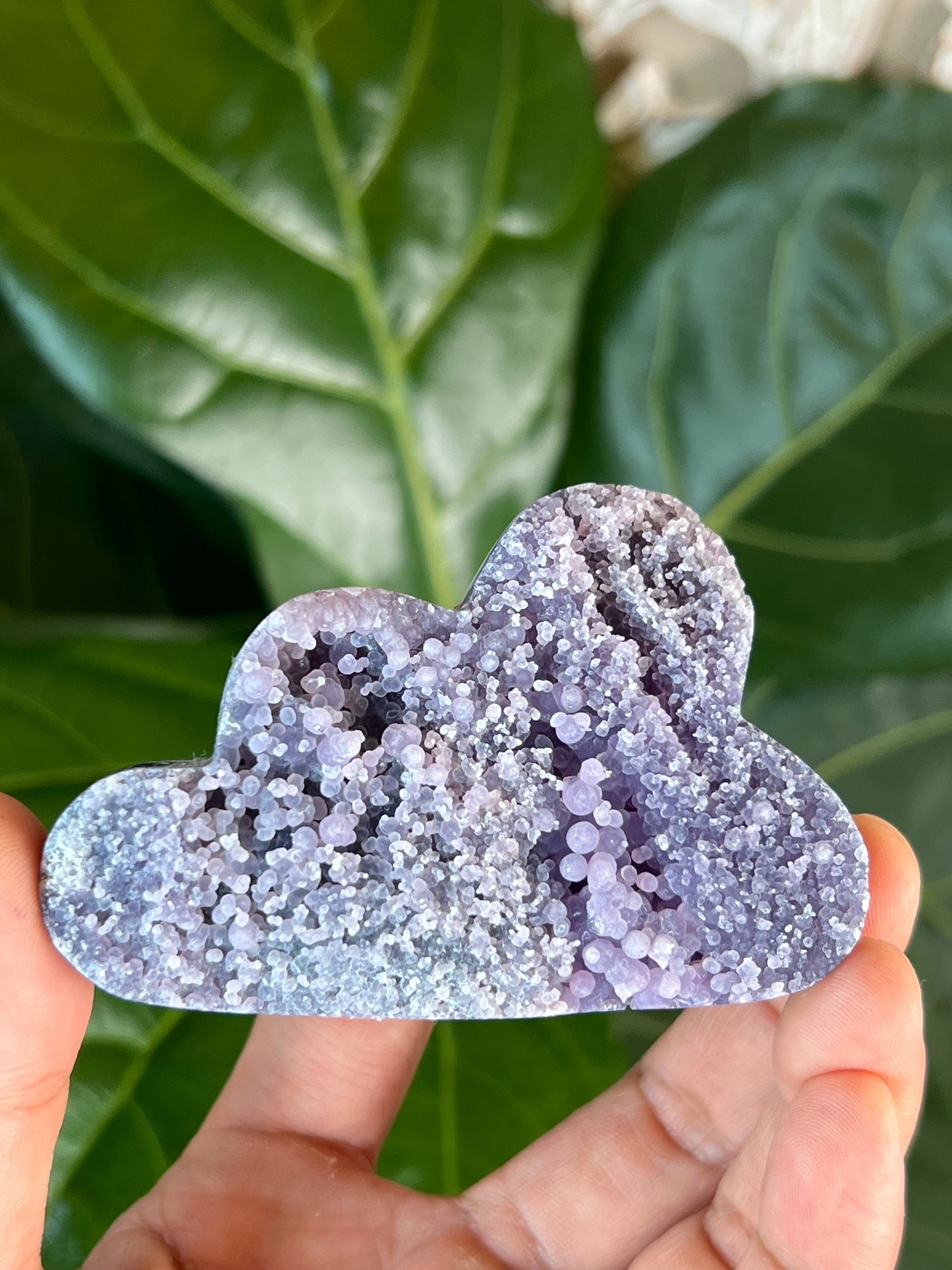 Grape Agate Cloud